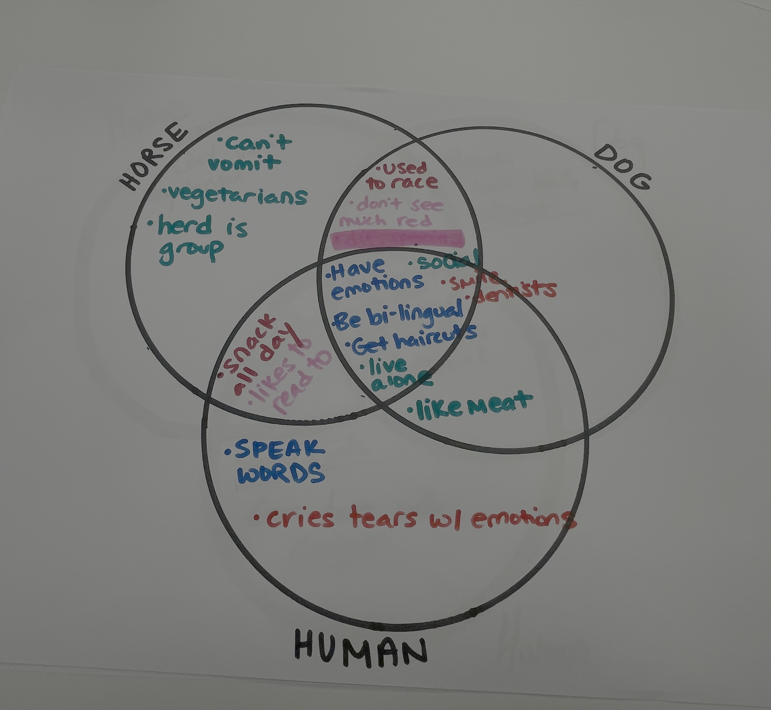 A Venn diagram comparing traits of horses, dogs, and humans with overlapping categories highlighting shared and unique characteristics.