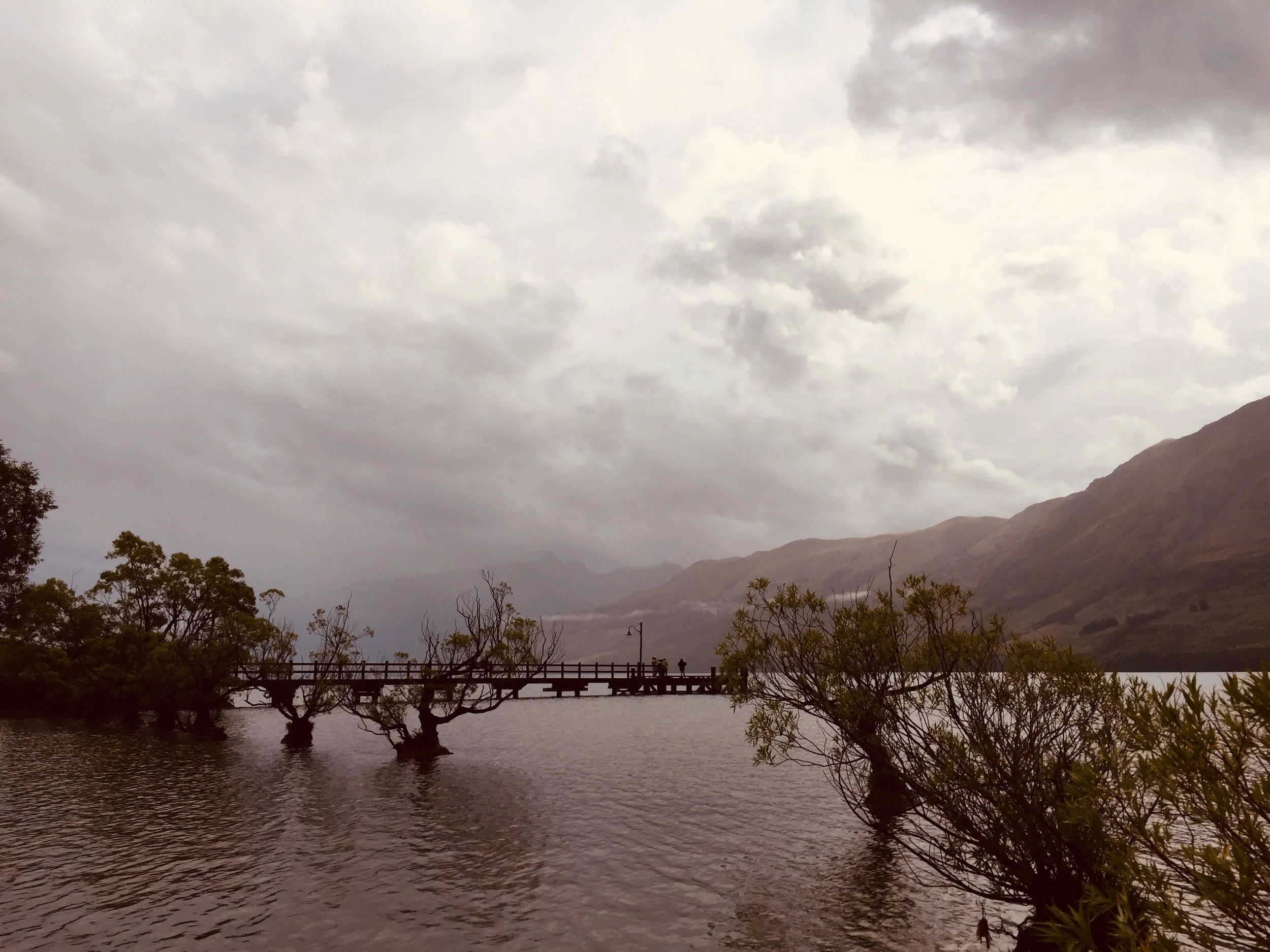 Grief counselling and loss support with registered psychologist Kaitlin Allen, virtual New Zealand