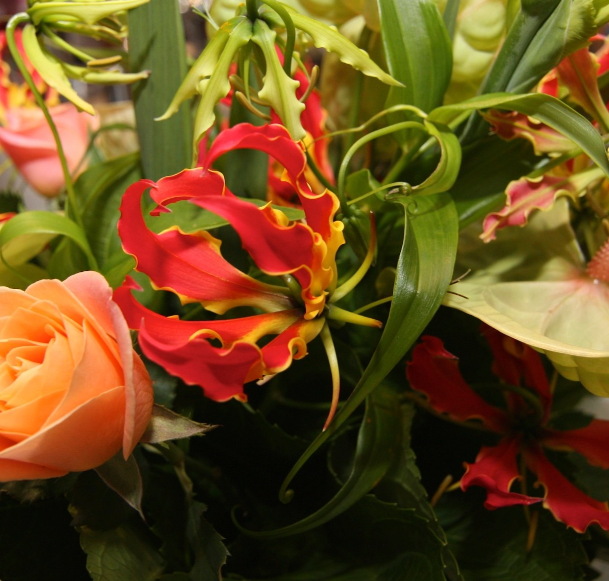 Couples and throuple therapy for life transitions and fertility – online psychologist New Zealand