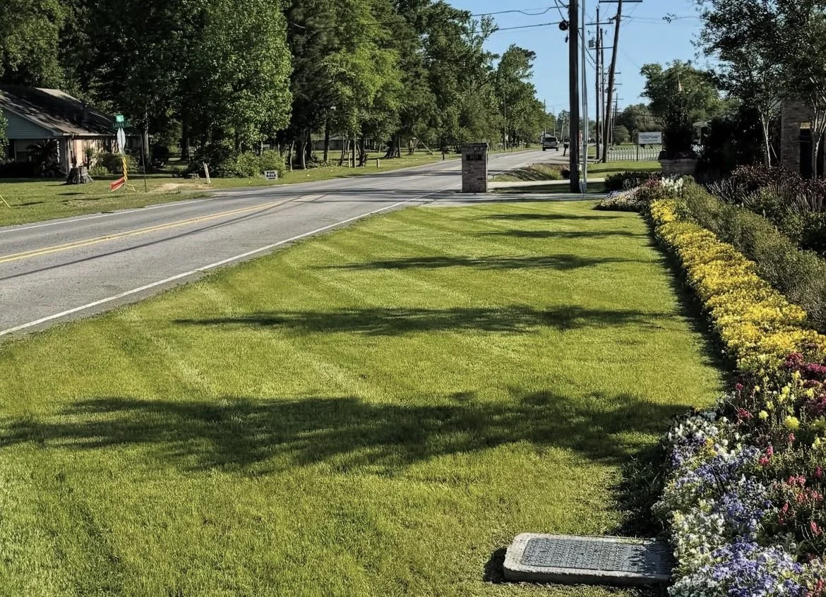 A well-maintained grassy lawn next to a road with a sidewalk and colorful flower bed on the right side.