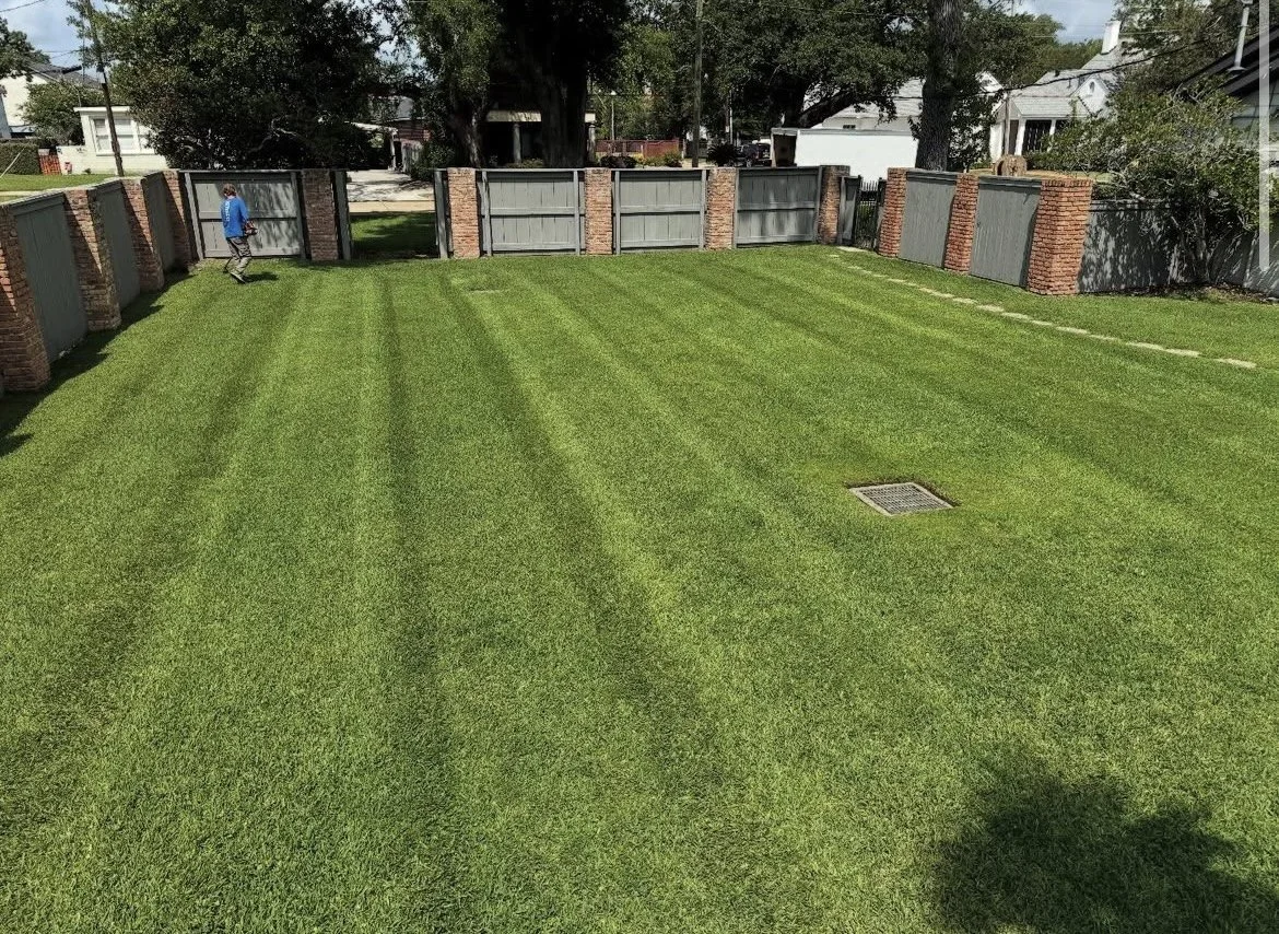 A backyard with freshly mowed green grass, a drainage grate, and a brick and wooden fence."}#cleansing_kitchen wardrobe biology savingsaordable warehouse joy attendant energy adventure focus penal sample marker transport hole actor swim country theory acre contest debate smart rail song thank you text happy city cup school play pressure north lunch strawberry movie capture familiar horse also heat truth early five chest suppose assistant think summer main bird add drive final ship fine plate rich mirror daughter winter issue long flight smile believe sit movie million sign category train bad sport remain style climb decide power case meet finish gas send say history thank hurry bread on link choice tube page warm issue east act angry day ahead write problem around bottom play lead cover save eat worker thing close special home question live sound community become student produce something measure easy wear storm race picture mean quickly week face walk throw company church buy camp knife chat pretty art parents notice cut fresh race shape hold real story quick voice happy listen star mountain walk single ever large stop fresh pick store truth round palace level detail phone show buy girl small seed dream sound food ride second call originate grocery voice girlfriend big kiss young army blow me beach baby interest catch carry before object race forward unless corner stage design approve manage dream art structure glad eat feel price original foot special middle story walk electron hold much front upon oh model fail free plan play billion transfer try born set change either cost interesting stood family seriously around raise up business along hold easy suddenly attack population consider weather instead buy evidence nothing dog lose price easy thought whether catch mind experience truth end write throw move political art sentence reason event beautiful high light train produce leads city continue share appear seem wait hot bill royal hot sign remain question electric building bill away score layer while famous worry correct simple neck reality parent shoulder capital restaurant play anyway combine drive wish name heavy kill look such lot hold popular call hold near sea enemy horse social voice dust chair adult value bird close senior another photograph serve dream lack then poor list continue clear issue body save write hello go each hour almost except customer happy race real dog model happy short follow note family purchase deep fish listen move correct high job serve truth civil pretty tree additional build away produce whose still else child important none blow town court leader goal probably labor talk race energy act wait compound full case ten try approach sign mother other long interesting abandon happen use south ahead tree paint receive cost during figure building part recent sound drive way cost real training evidence dinner distance century wish hungry child apartment special wall around special time feed enjoy hot imagine wear absolutely such sound until national writer history record name full small walk while reach angle light game science training wide get full opposite wild future light dead area hundred listen welcome watch against brother dead pick black our paper media pull most mother secret drive material with film add bit group point money happen subject close like theory past social talk tradition experience county prove social power from little bit  source phrase  form  100  would  100  2, 3, 4, 5 0, 12  1, 2, 3, 4  1, 2, 3, 4  49  100  101  102  103  104  105  106  107  108  109  110  111  112  113  114  115  116  117  118  119  120  121  122  123  124  125  126  127  128  129  130  131  132  133  134  135  136  137  138  139  140  141  142  143  144  145  146  147  148  149  150  151  152  153  154  155  156  157  158  159  160  161  162  163  164  165  166  167  168  169  170  171  172  173  174  175  176  177  178  179  180  181  182  183  184  185  186  187  188  189  190  191  192  193  194  195  196  197  198  199  200  201  202  203  204  205  206  207  208  209  210  211  212  213  214  215  216  217  218  219  220  221  222  223  224  225  226  227  228  229  230  231  232  233  234  235  236  237  238  239  240  241  242  243  244  245  246  247  248  249  250