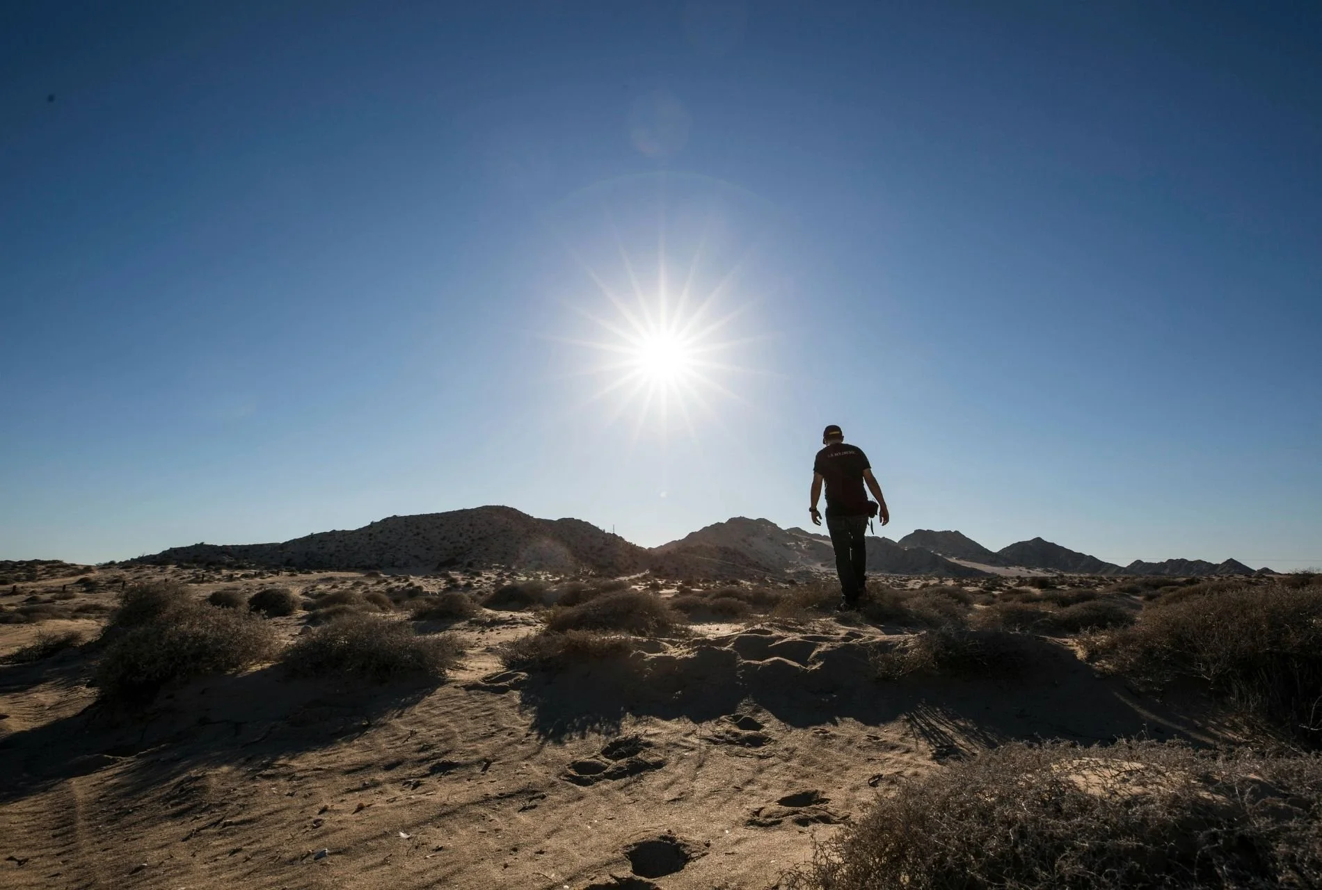 El clima de Sonora impulsa la generación fotovoltaica gracias a su alta irradiación.