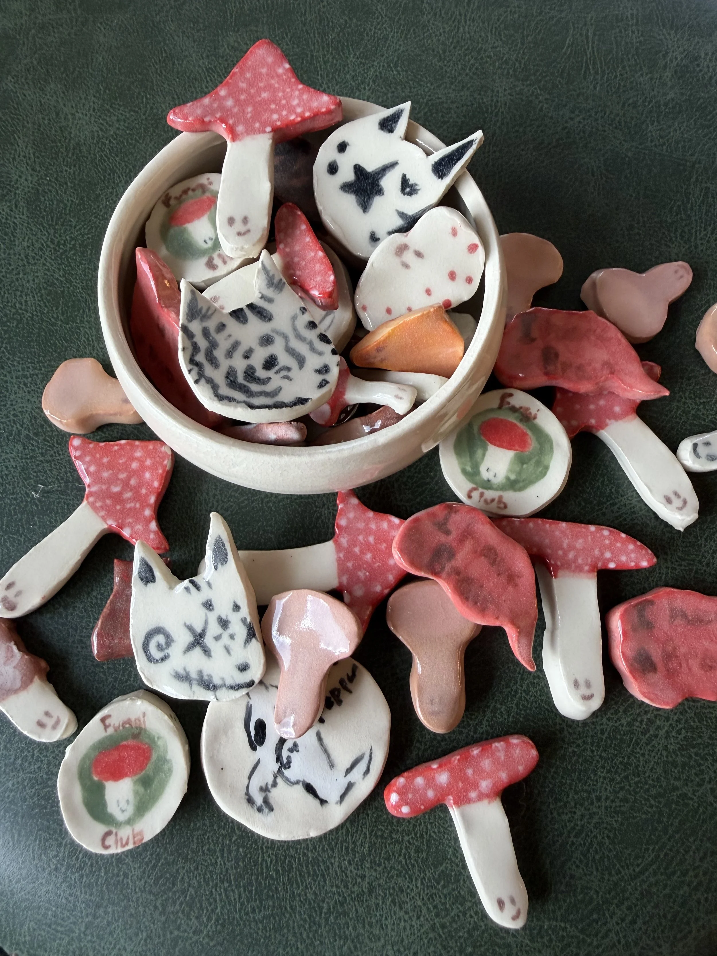 Mystery 5 pack of Clay Magnets