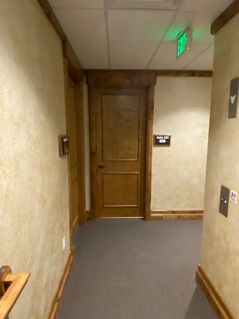Hallway with a closed wooden door, beige textured walls, gray carpet, an illuminated green exit sign above, and signs indicating Suite 203 to the right and elevator buttons on the wall.
