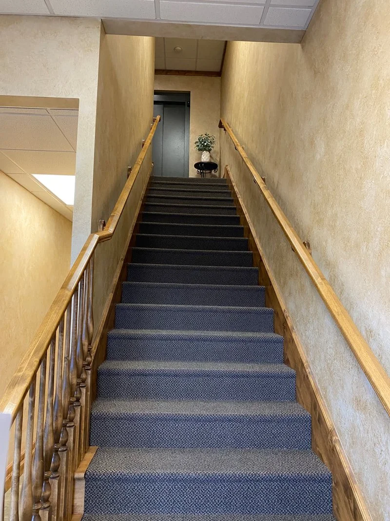 Carpeted staircase with wooden handrails leading up to a hallway with a potted plant and elevator door at the top.