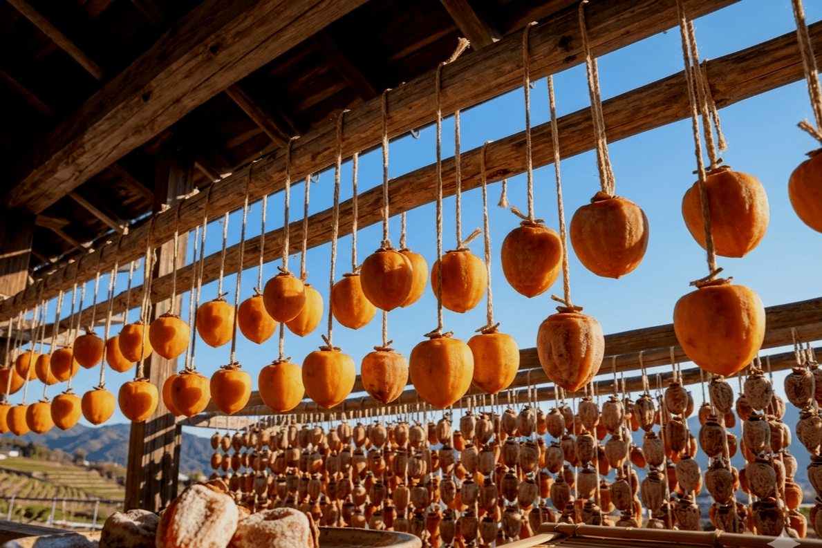 Rows of persimmons hanging to dry under a wooden structure with the Yamanashi mountains and vineyards in the background.