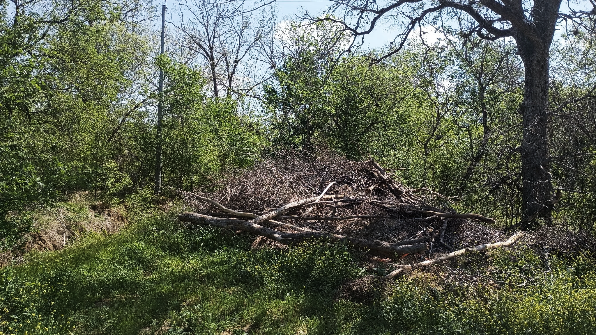 Years of debris