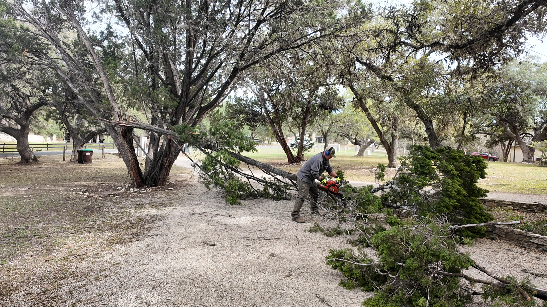 chainsaw work.png