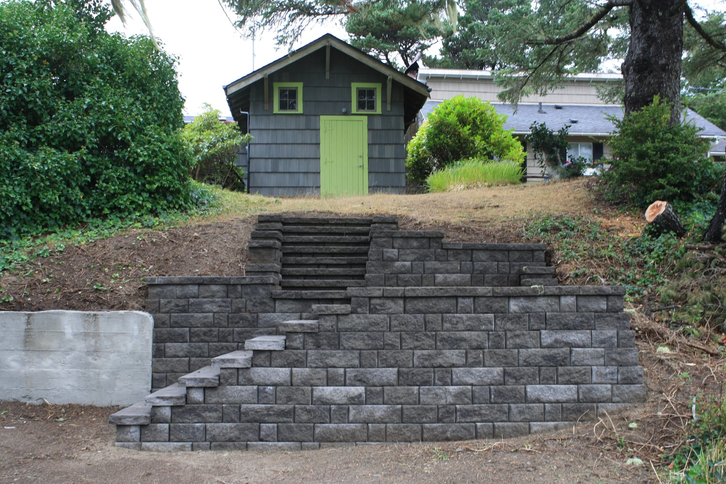 A backyard with a small backyard shed with a green door and window frames, surrounded by shrubs and trees, and stone steps leading up to the shed.