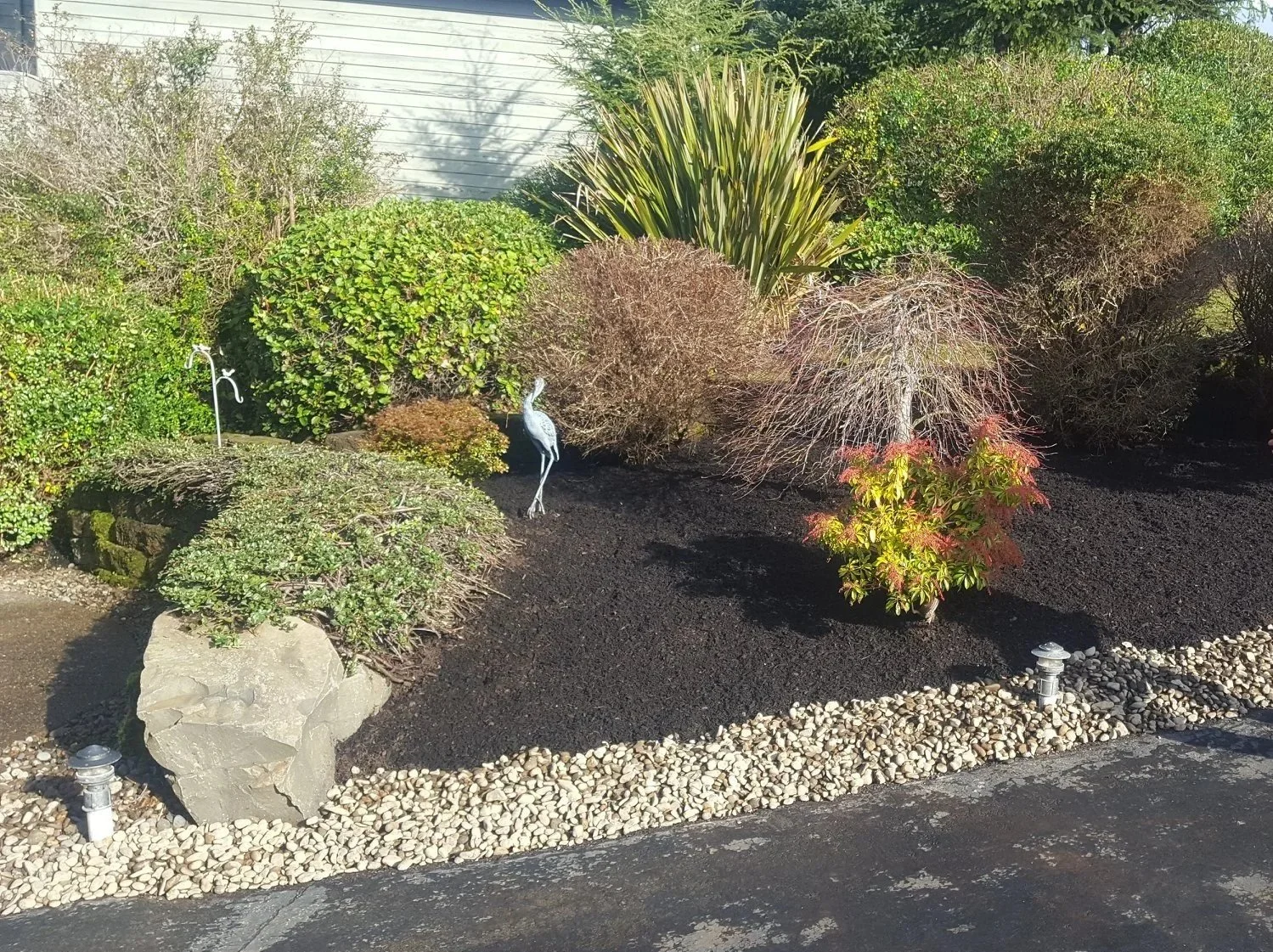 A landscaped garden on the Oregon Coast with various bushes, a large rock, and a decorative heron statue, surrounded by small light-colored gravel and mulch, with a white house exterior in the background.