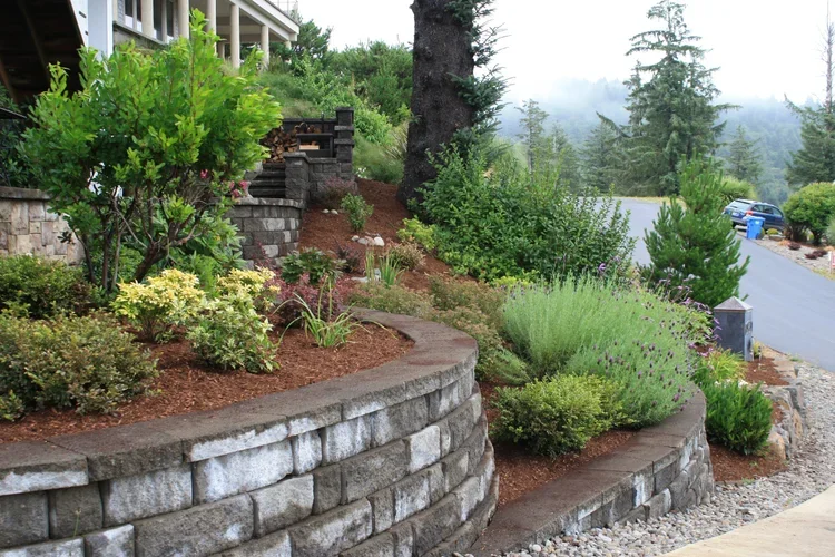A landscaped garden with a stone retaining wall on the Oregon Coast, various plants, bushes, and trees along a neighborhood street with houses and parked cars in the background.