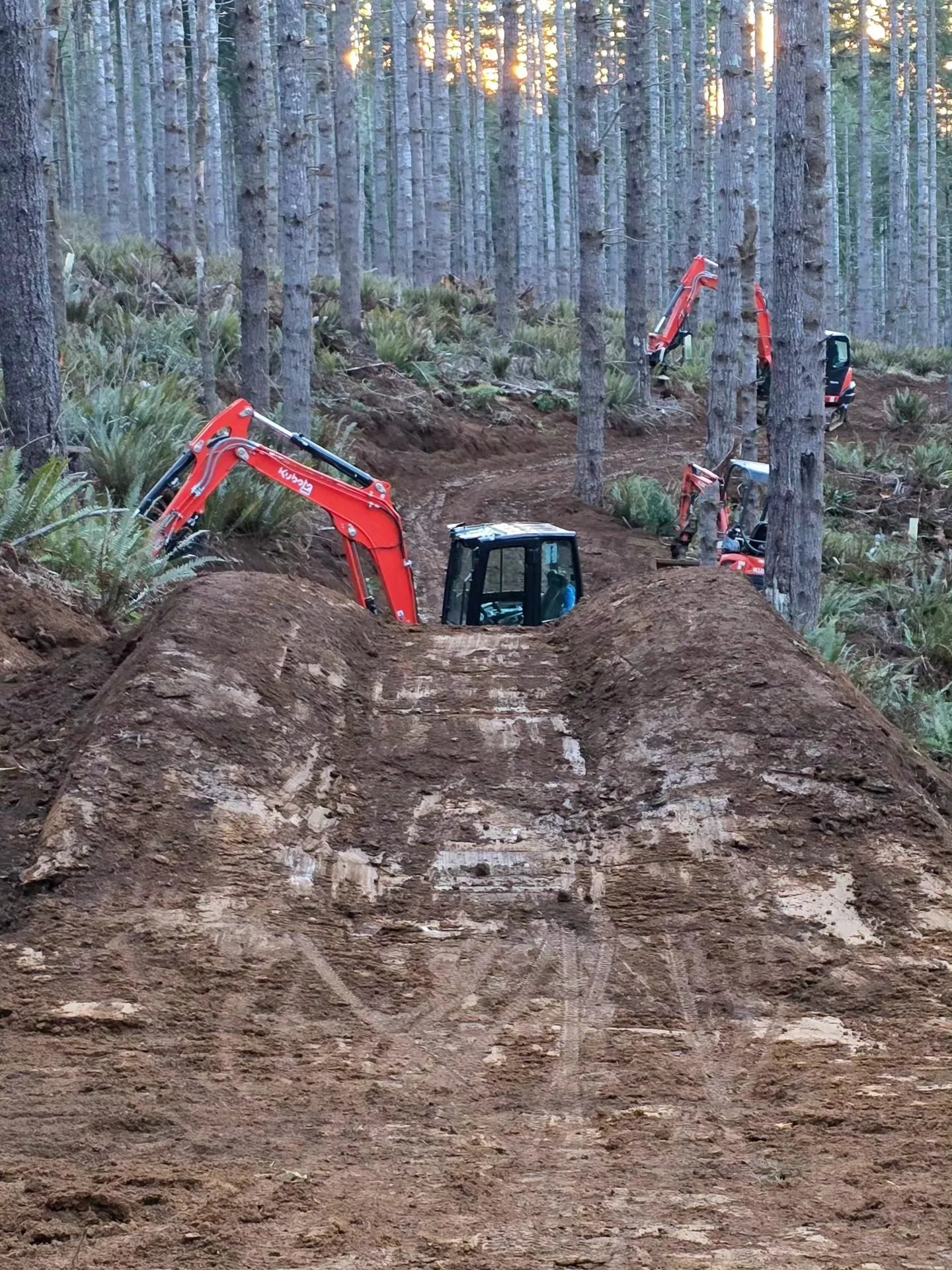 Construction site in a forest with excavators and a cleared dirt pathway.