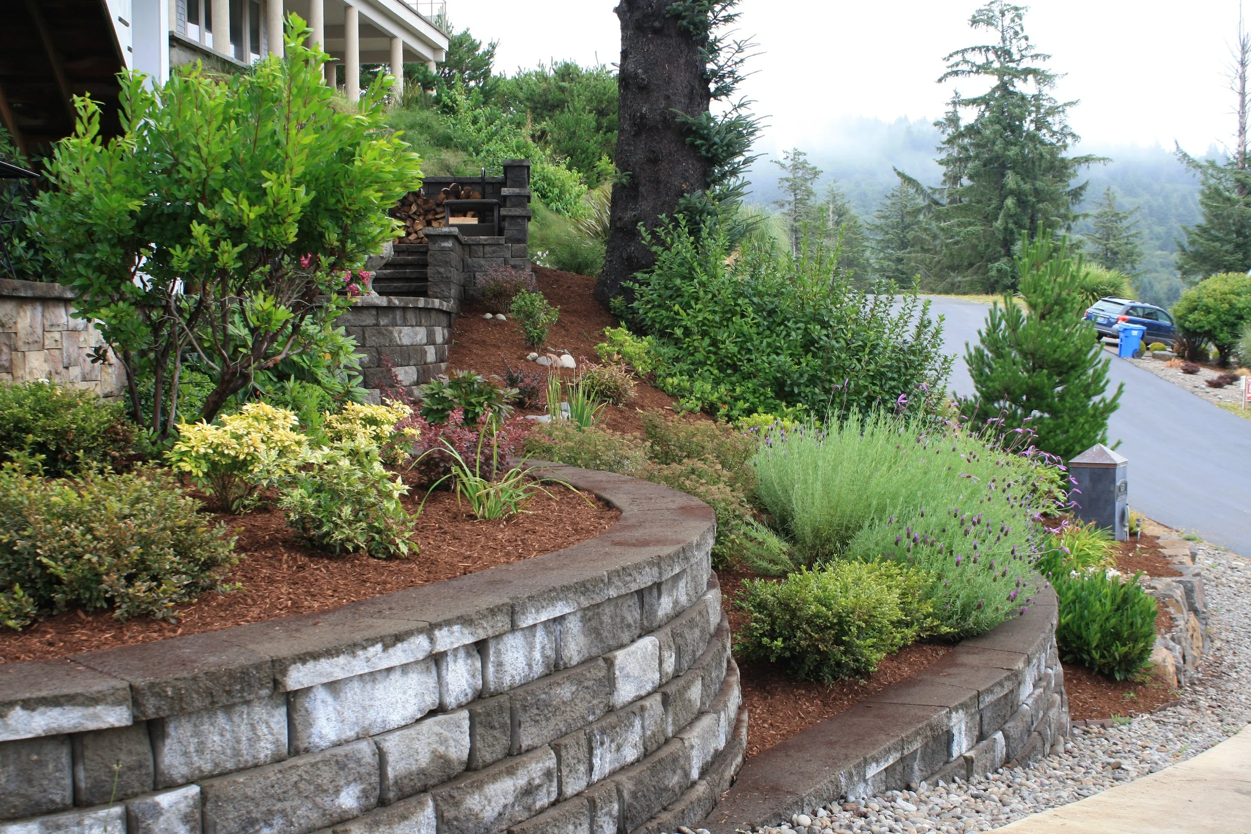 A landscaped front yard on the Oregon Coast with a multi-tiered stone retaining wall, lush green plants and shrubs, a large tree, and a concrete sidewalk in a residential neighborhood with trees and fog in the background.