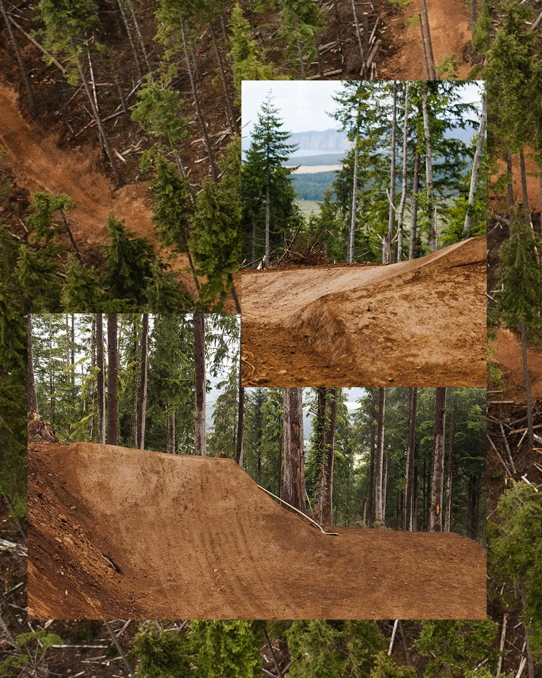A collage of images showcasing a mountain biking trail through a forest with tall trees and dirt paths, with distant mountains and water visible in the background.