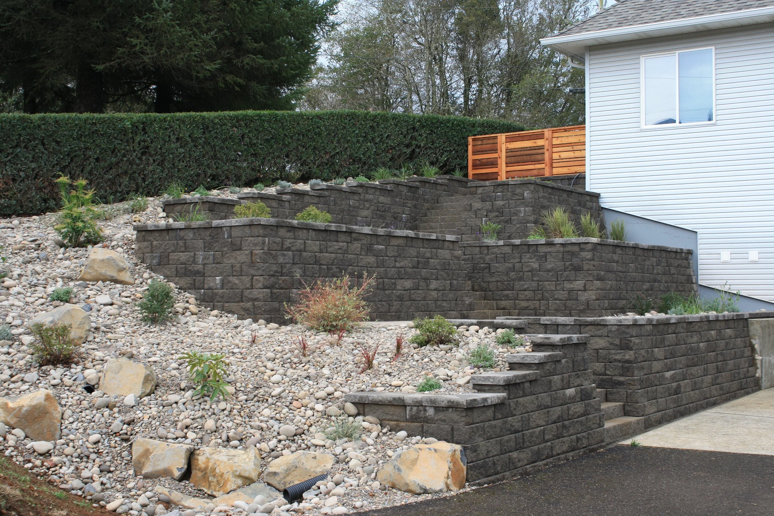 A backyard with a tiered retaining wall made of dark gray bricks, with small plants growing on and near it. The yard has rocks and pebbles with some larger stones. A white house with horizontal siding and a window is visible on the right, with a newl