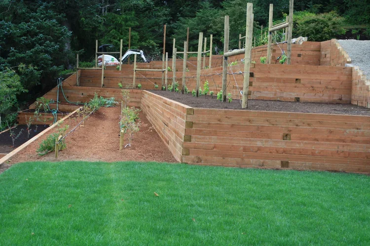 A multi-level backyard garden with wooden retaining walls on the Oregon Coast, newly planted vegetables, and green grass in the foreground.