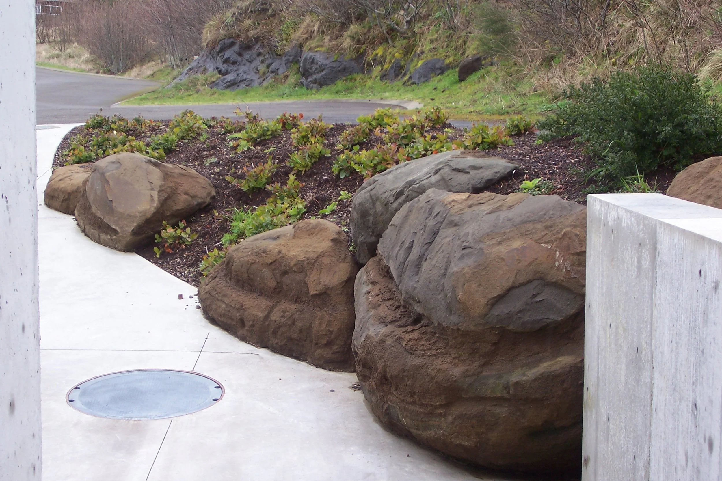 A small outdoor landscape on the Oregon Coast that features a curved sidewalk bordered by large rocks and green plants. In the background, there is a road with a slight bend, rocky slopes, and sparse trees and shrubs.