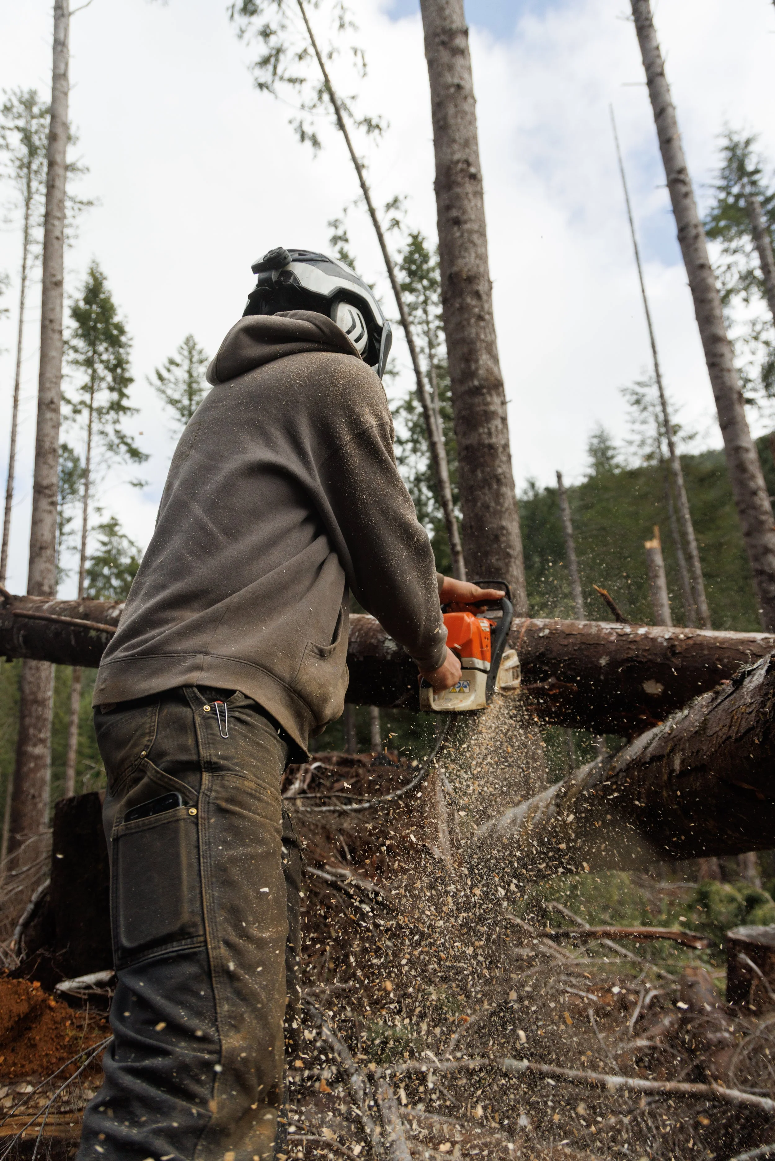 A person wearing a helmet and outdoor clothing is cutting a fallen tree with a chainsaw in a forest, with sawdust flying.