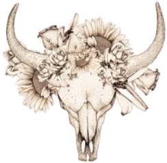 Maverick Tallow skull.