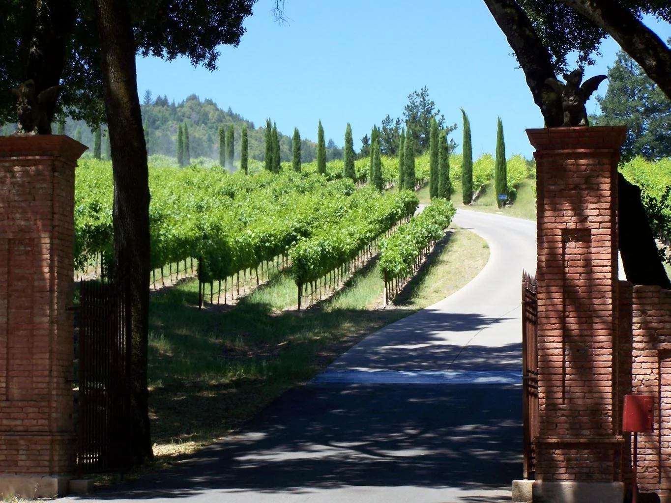 Entrance to a vineyard with brick pillars, stone gate statues, and a curved road leading through green grapevines, with trees and hills in the background on a sunny day.
