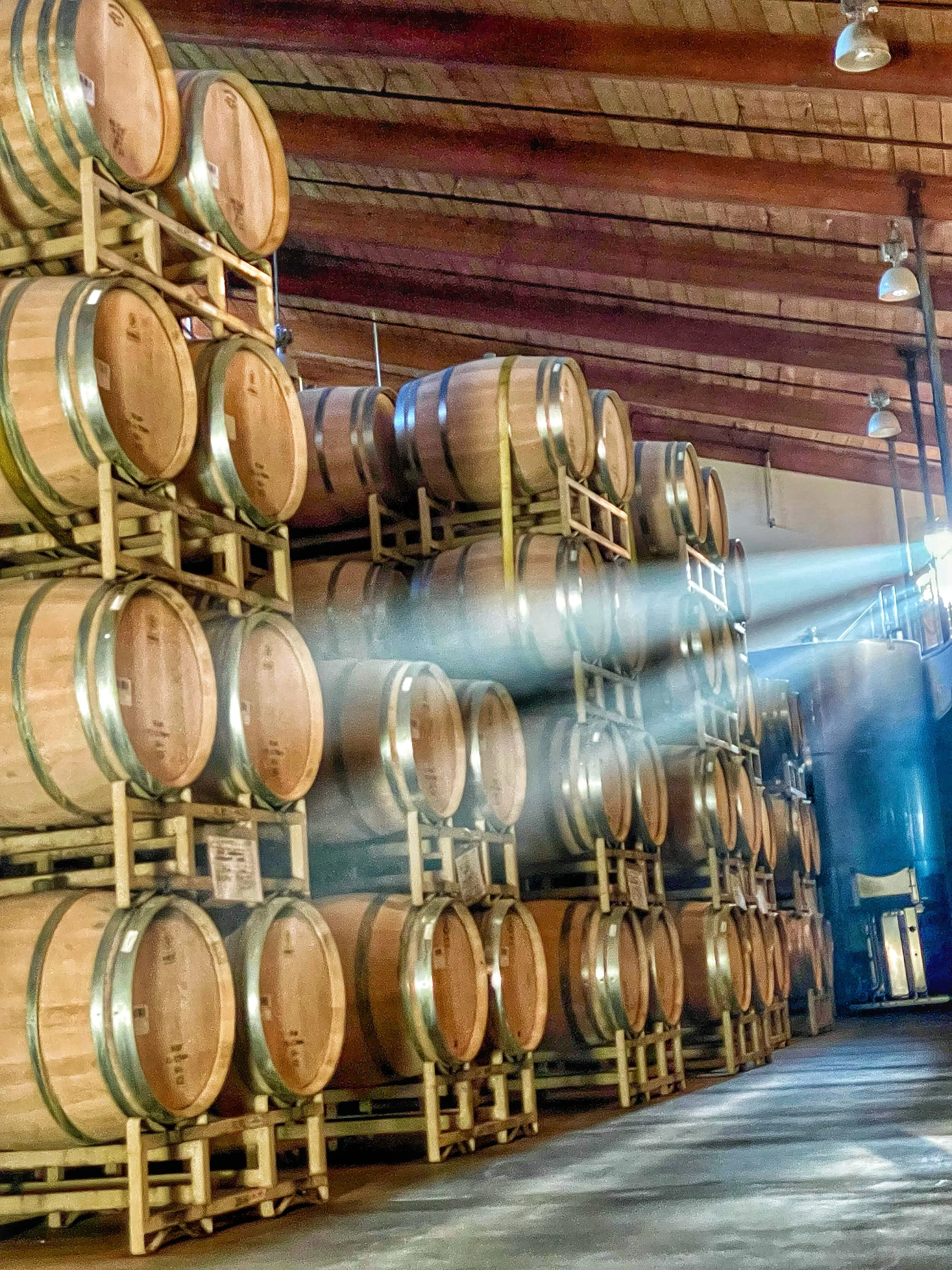 A storage room with multiple wooden barrels stacked on racks, with a wooden ceiling and some industrial lights overhead.