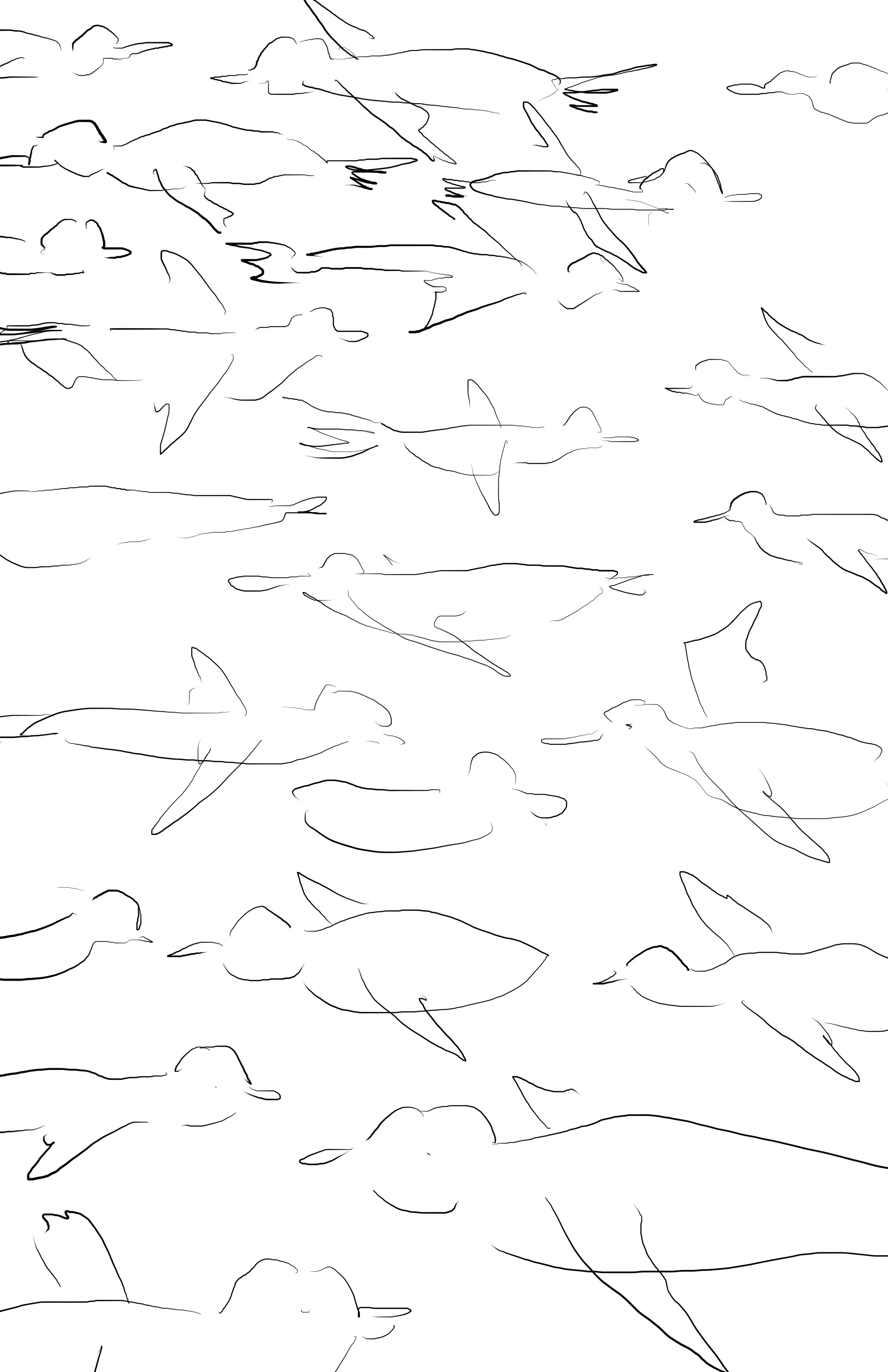 Untitled Artwork.jpg