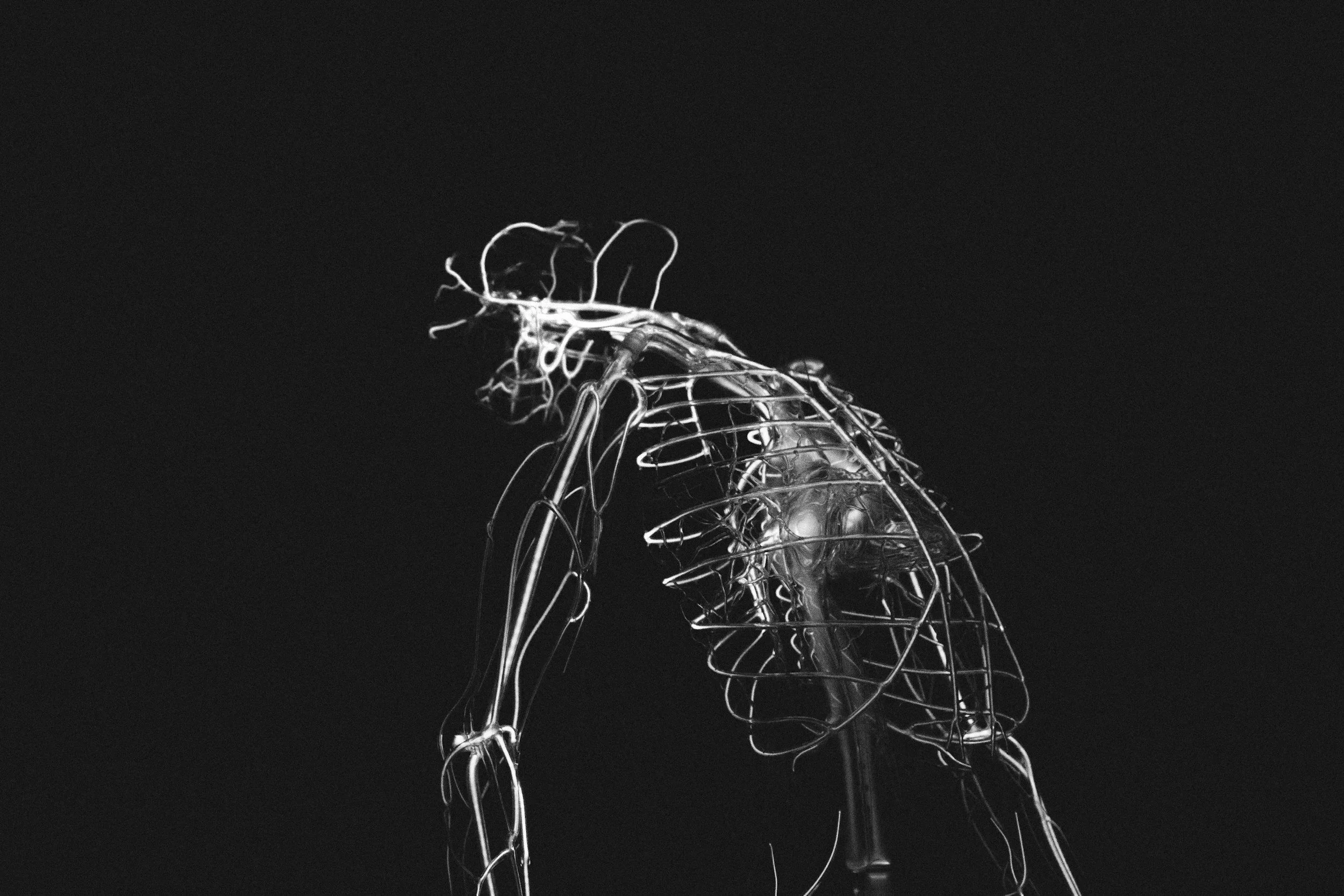 A wireframe sculpture of a woman in profile, sitting with her head resting on her hand, set against a black background.