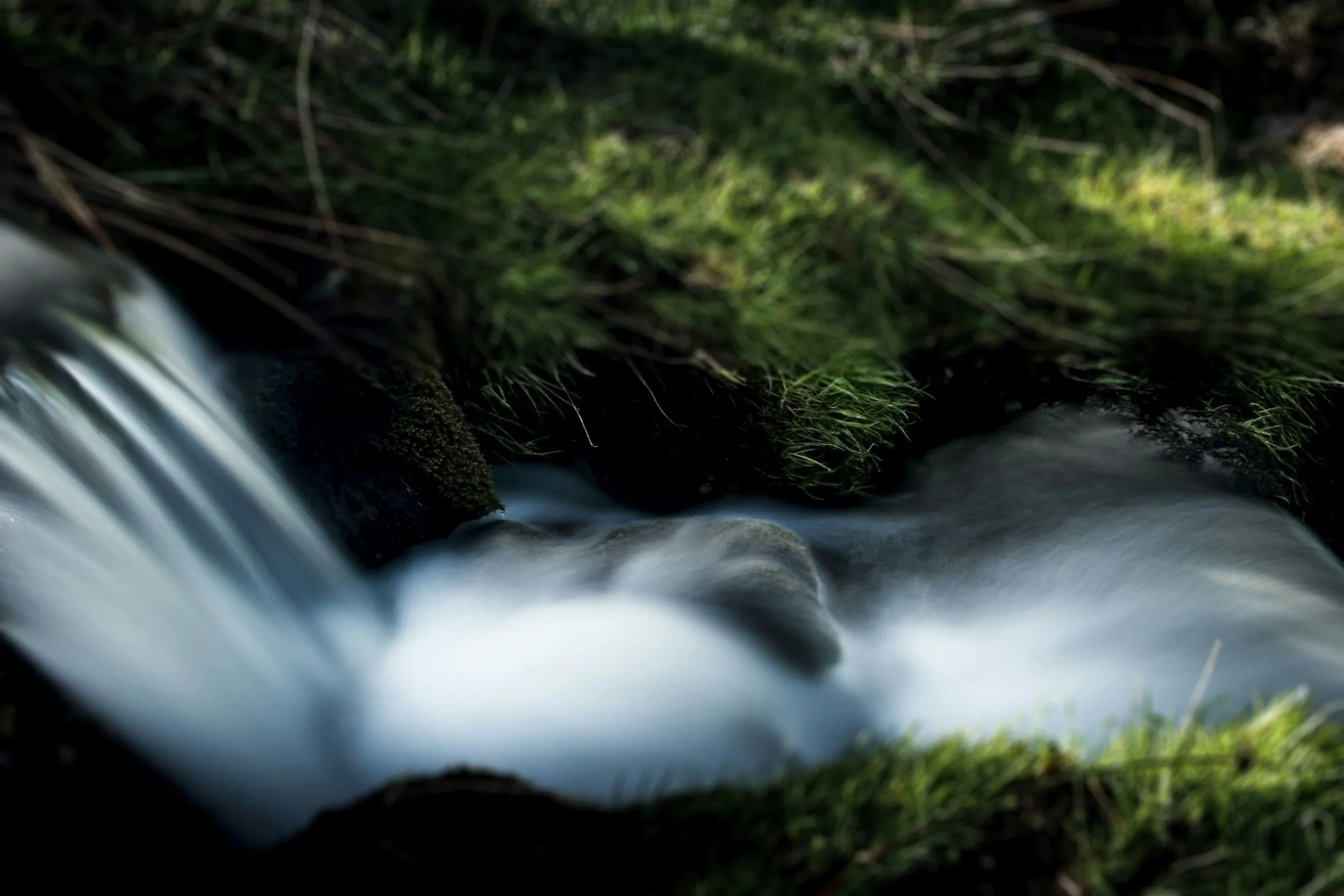A small stream of water flowing over rocks surrounded by green grass and moss.