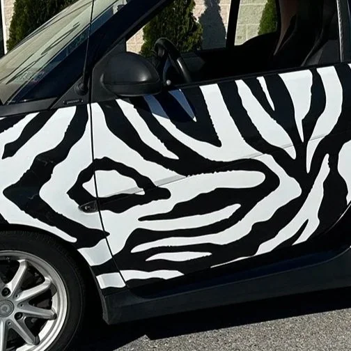 Vinyl Graphics Assortment