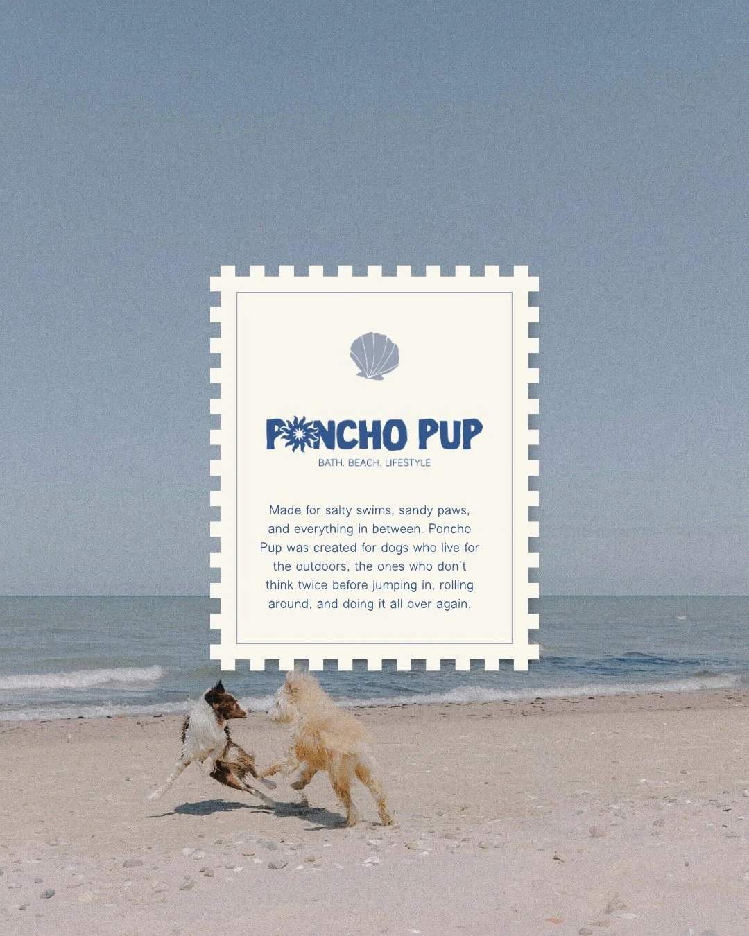 Introducing Poncho Pup, a brand made for salty swims, sandy paws, and dogs that don&rsquo;t do calm. 🌊

This one was all about capturing that beach chaos energy&hellip;
the shake offs, the zoomies, the &ldquo;just one more dip&rdquo; kind of days.

