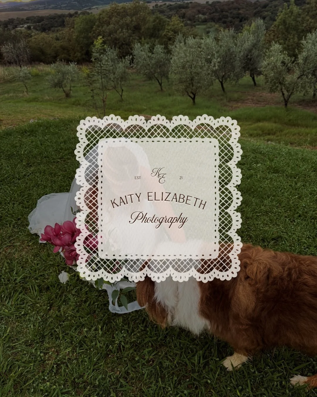 Kaity Elizabeth Photography officially launches her brand new website tomorrow and I could not be more obsessed with how this one came together. 💌🕊️

Elegant, feminine, dreamy and full of heart, every detail was designed to feel soft, timeless and 