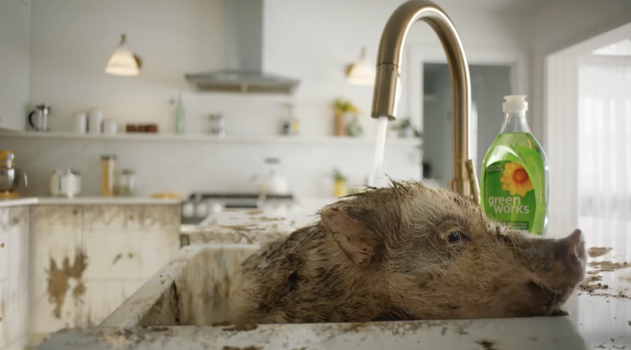 Greenworks - David Hicks