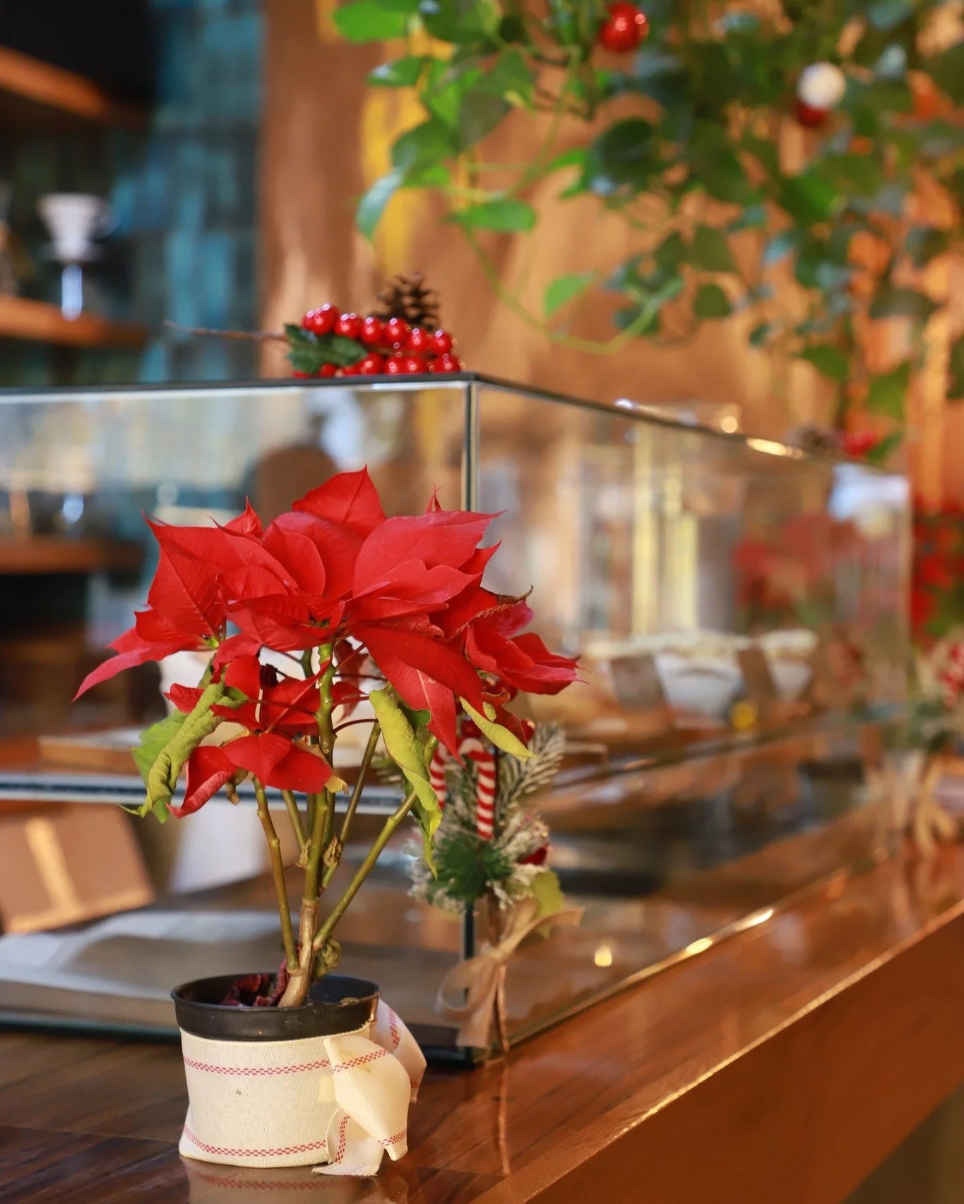 La mejor temporada del a&ntilde;o en Sideral 🎅🏻🌺