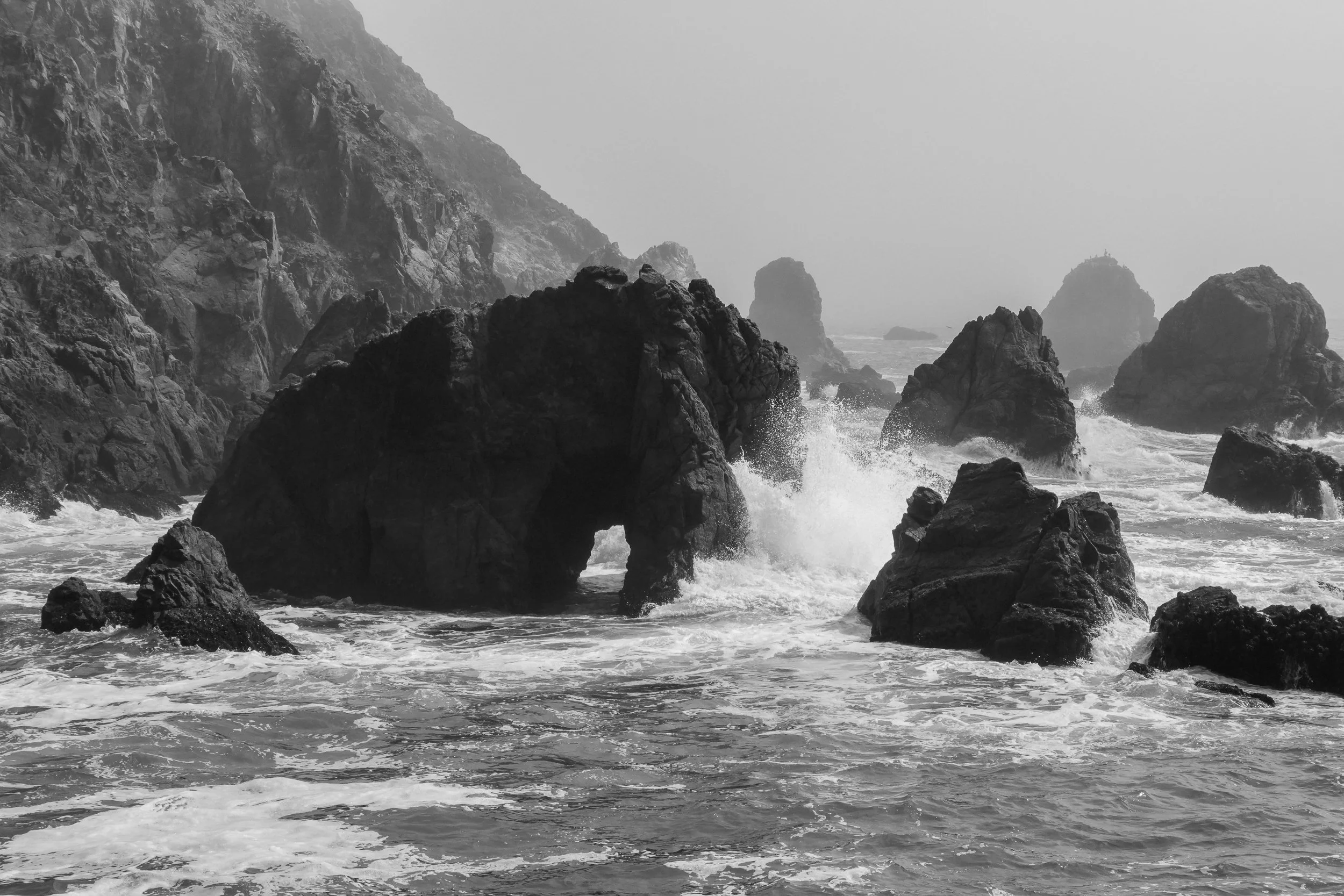 20250922-DSC03731 - Copy.jpg