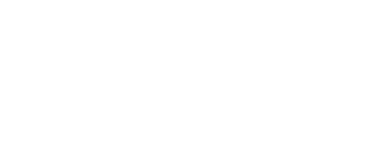 Logo with the word "PALOMA" and a silhouette of a pigeon above it.