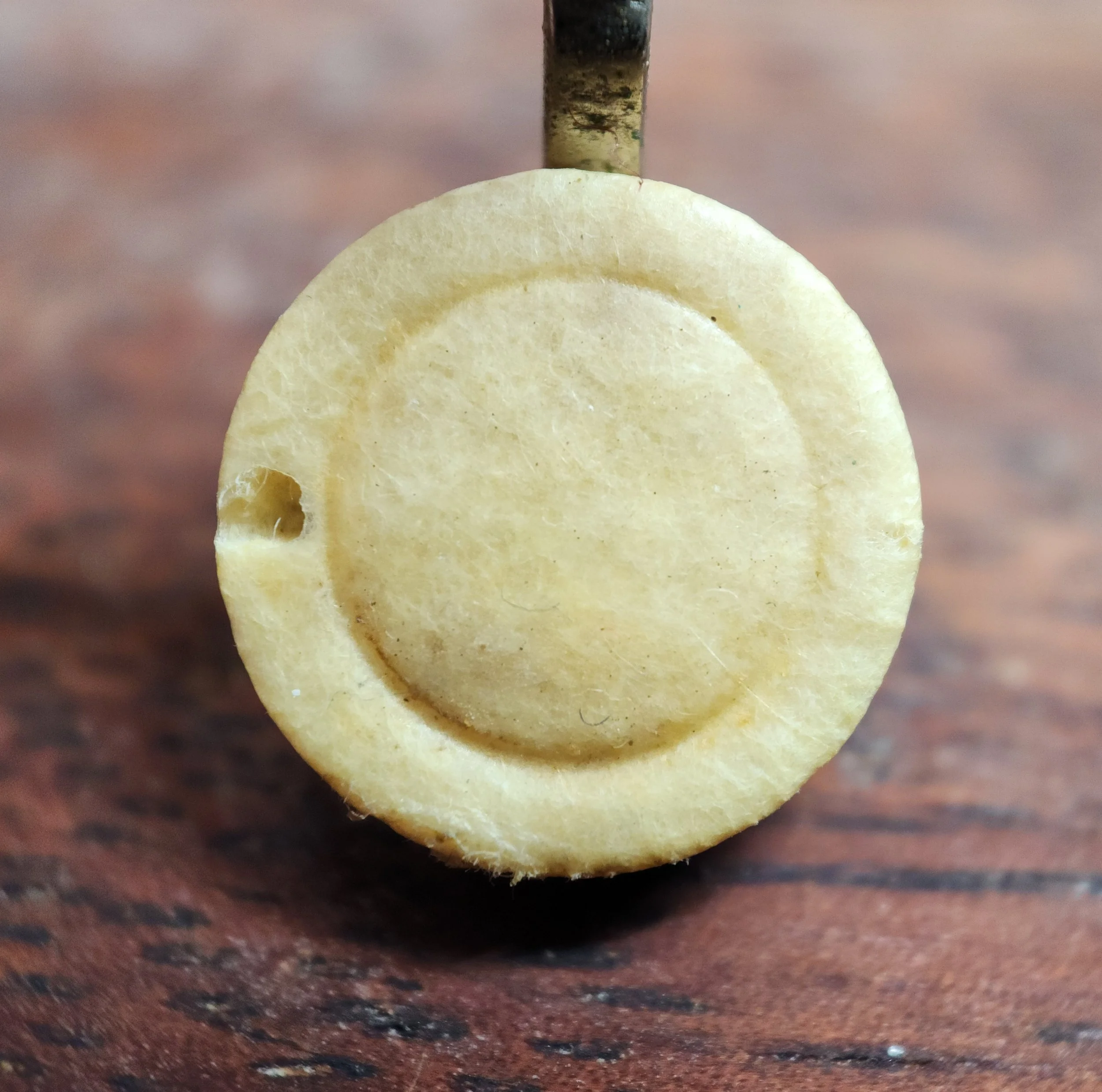 Insect eaten clarinet pad