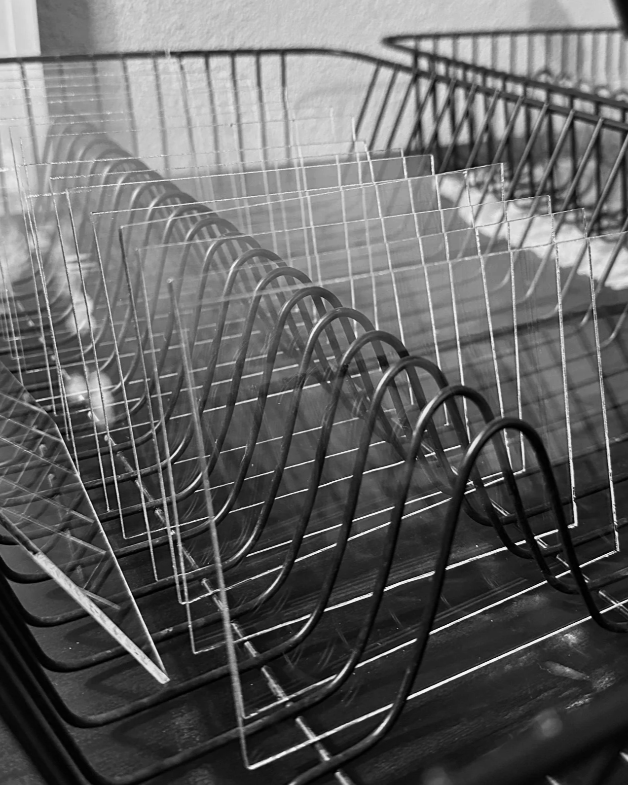 glass plates are thoroughly cleaned and prepared to be coated in silver gelatin emulsion