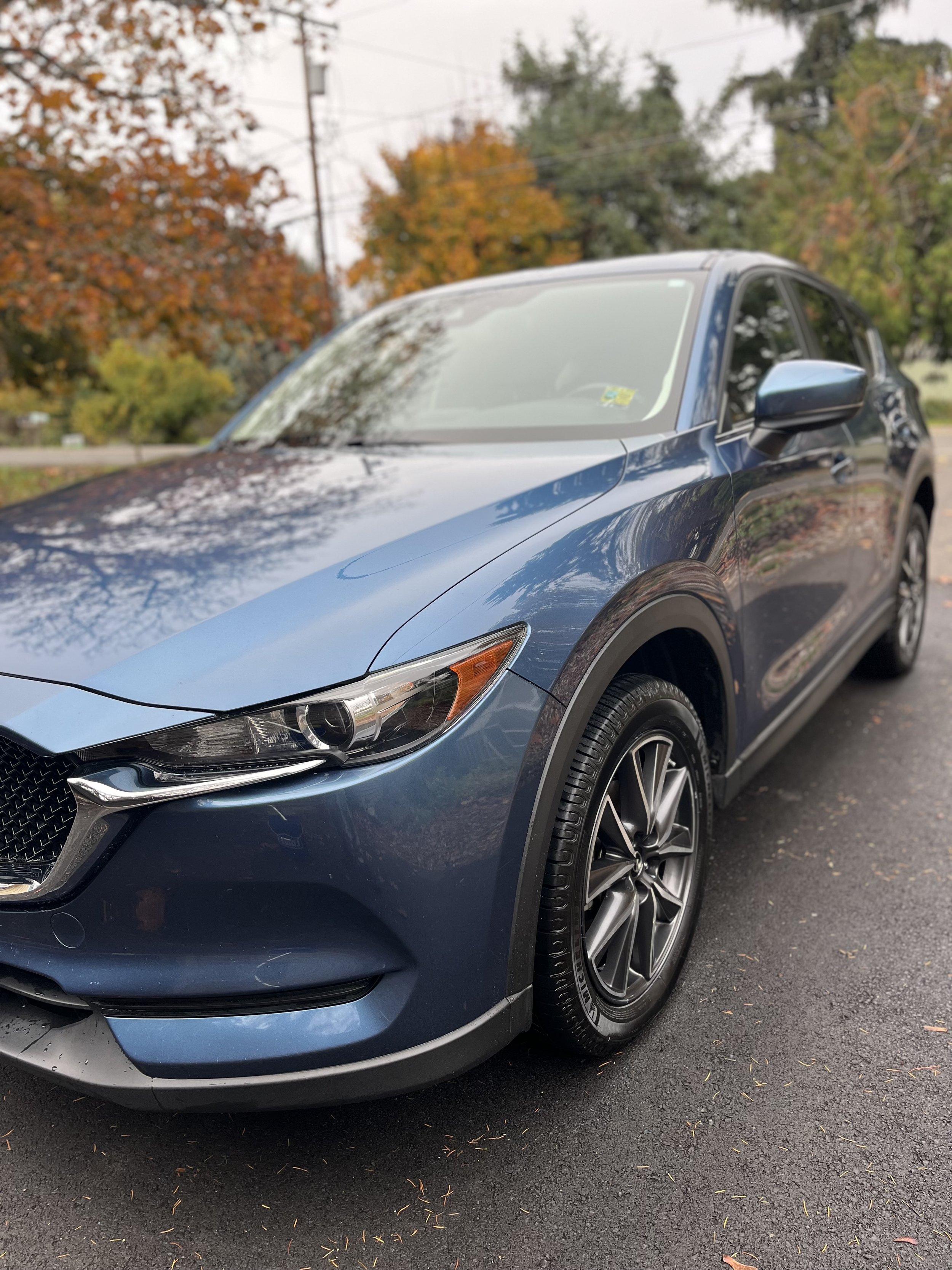 Paint Protection Package