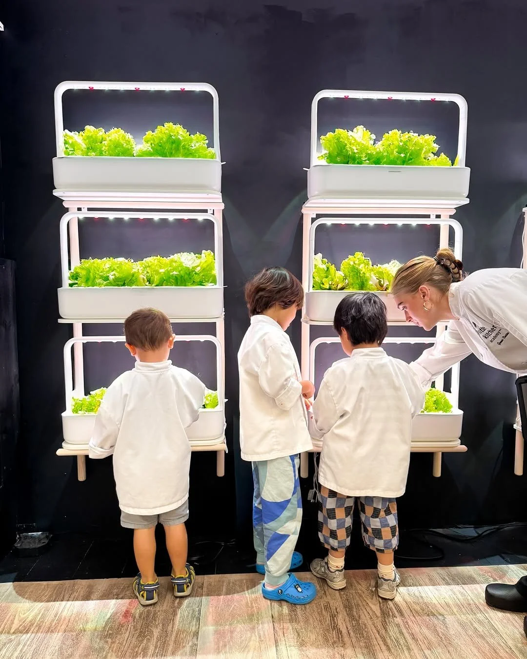 Little Kitchen Academy