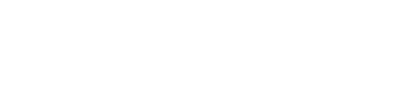 Logo for David Scott Interiors with a stylized 'S' inside a square, and text displaying 'David Scott Interiors'.