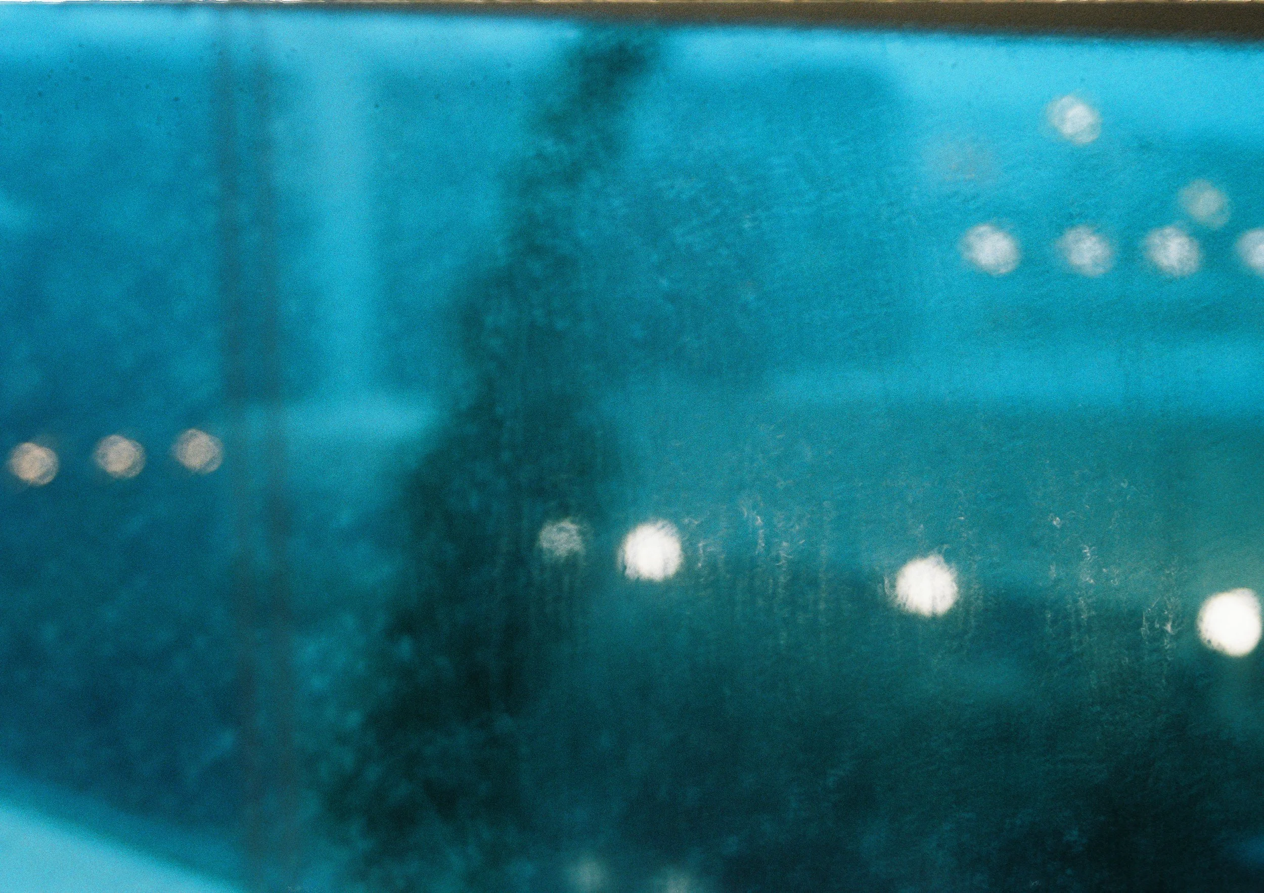 AlexHancu001132-R1-062 (1).jpg