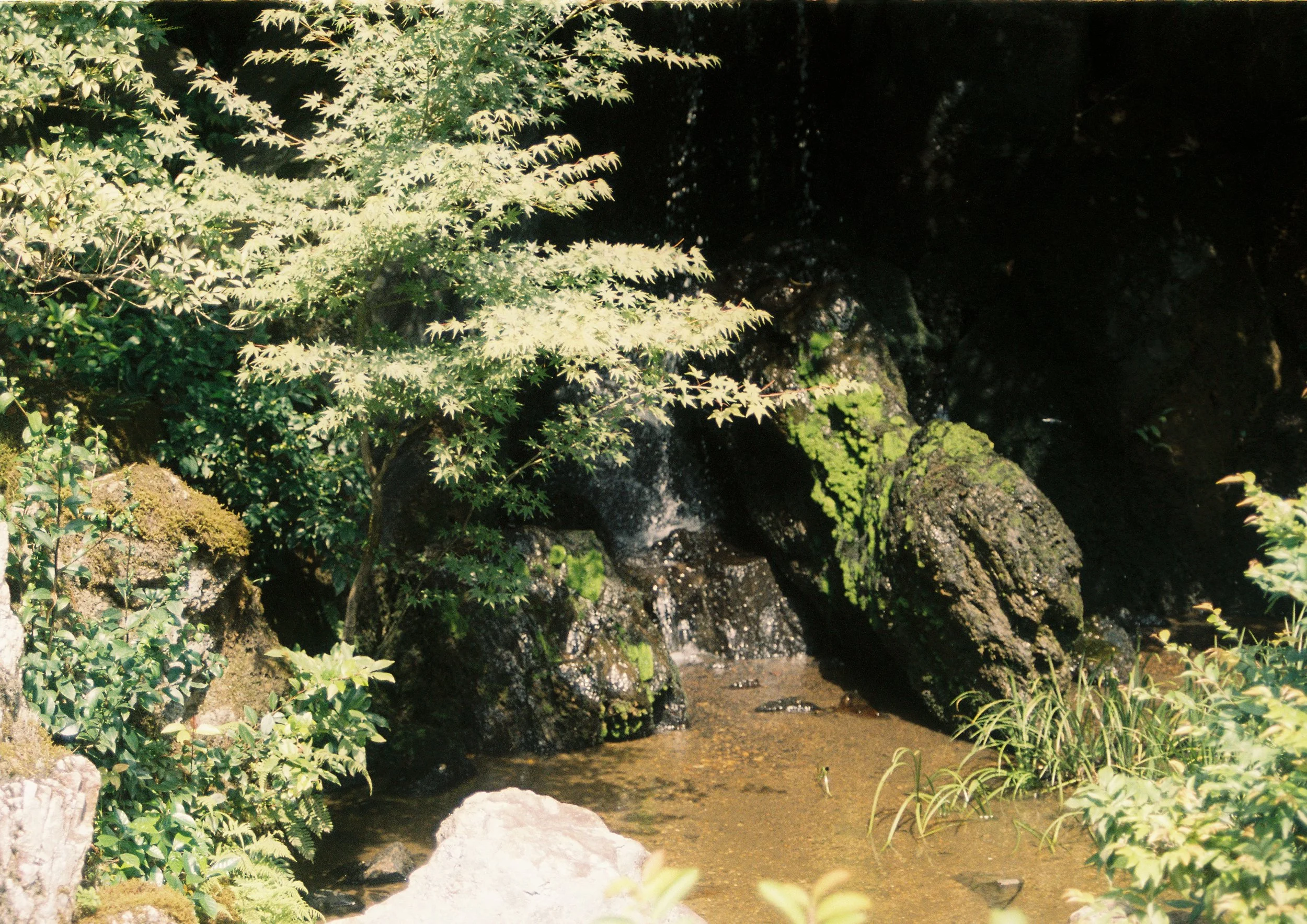 AlexHancu001132-R1-141 (1).jpg