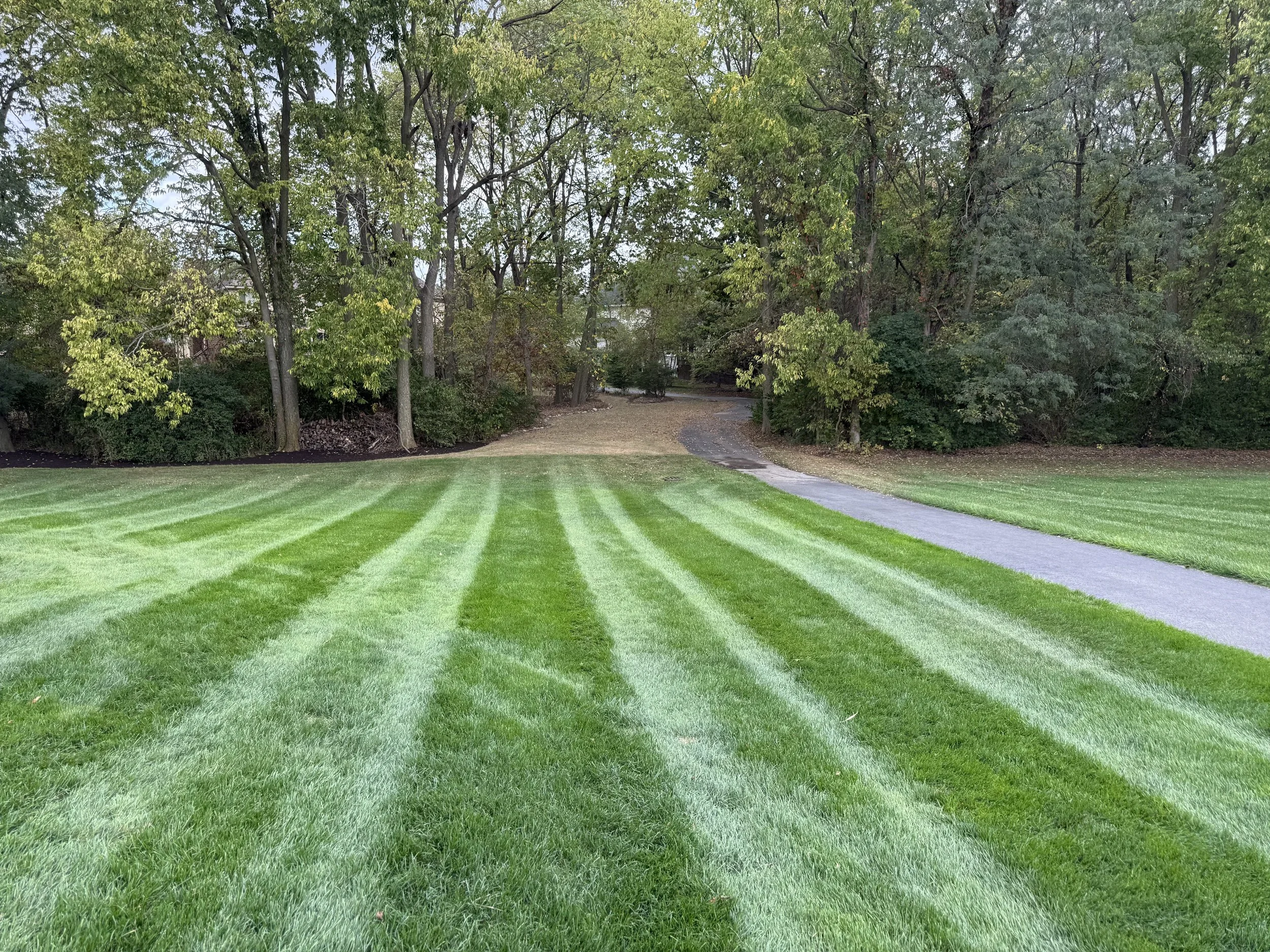Well-manicured lawn with fresh grass stripes, a paved pathway, and trees in the background.