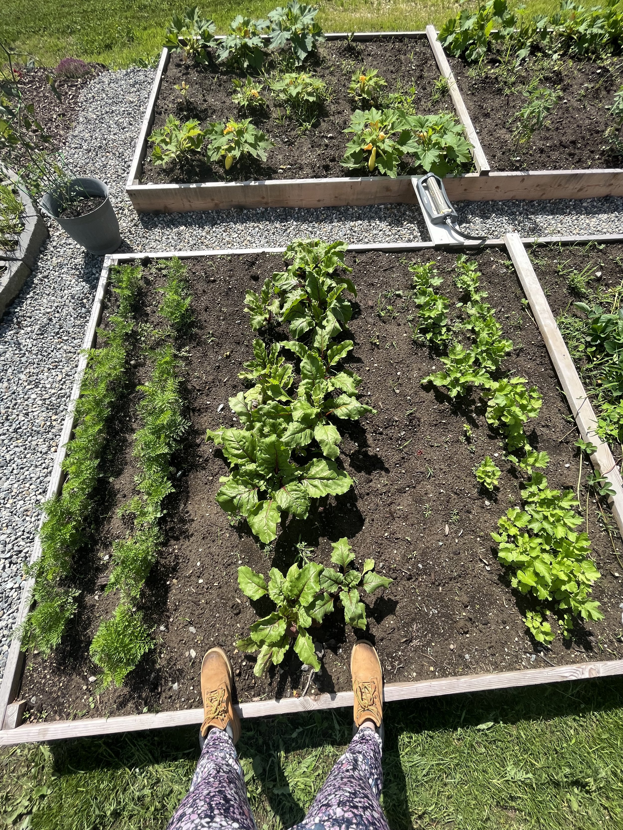 Signature Garden Build