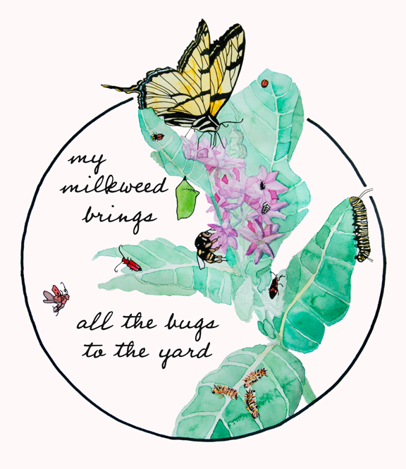 Milkweed_FancyText.png