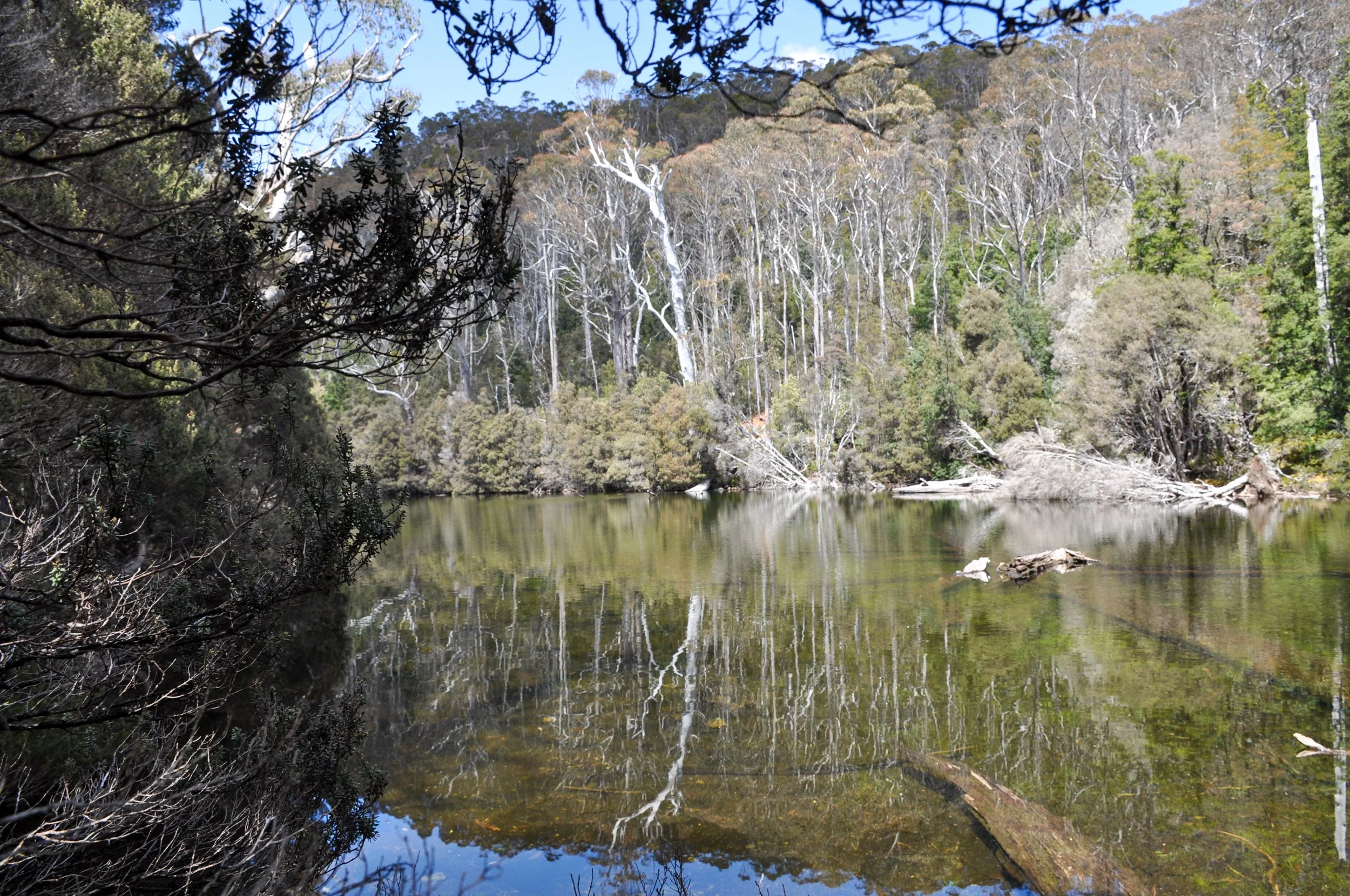 Near Grail Falls