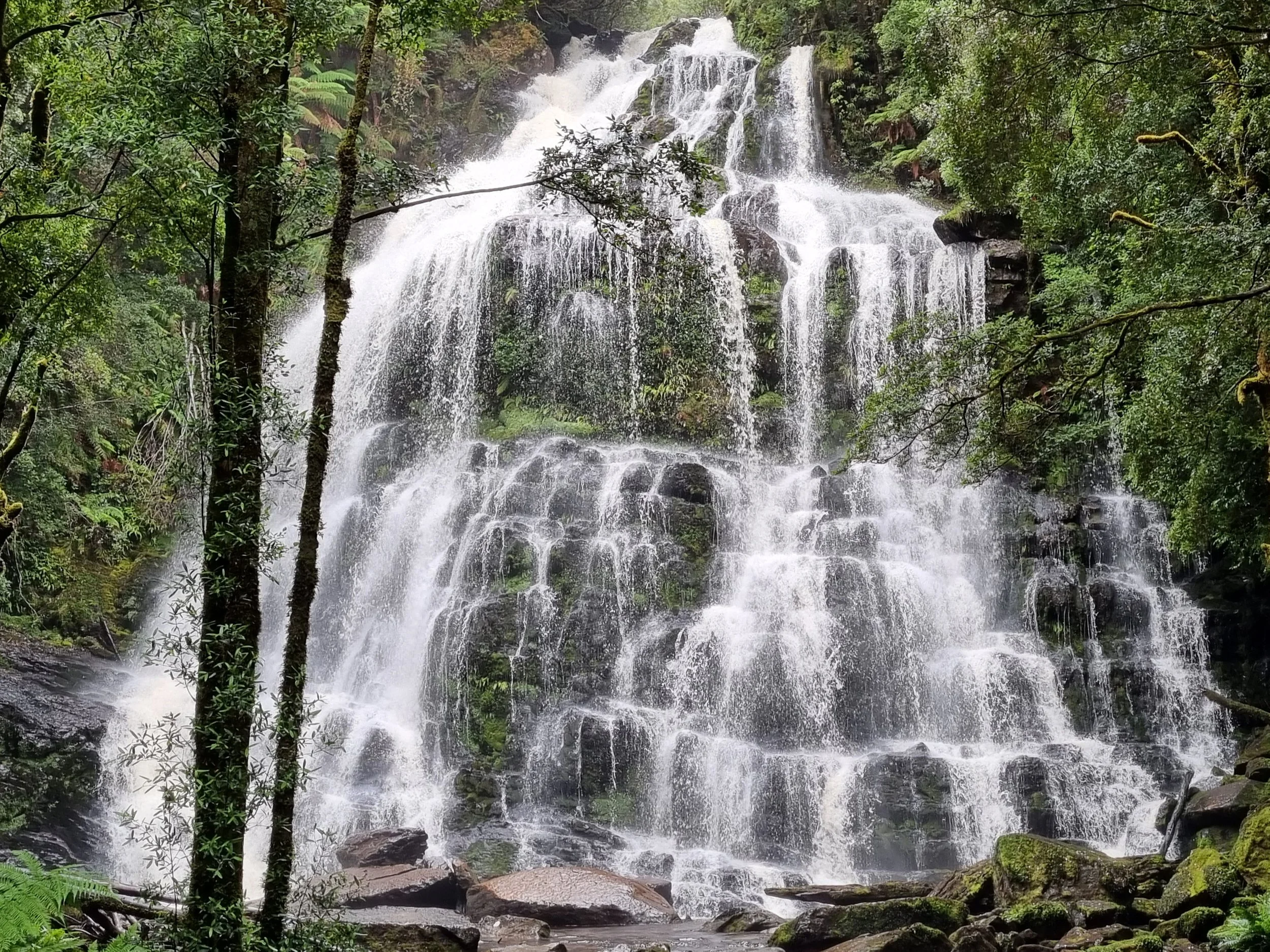 Nelson's Falls (near Queenstown)