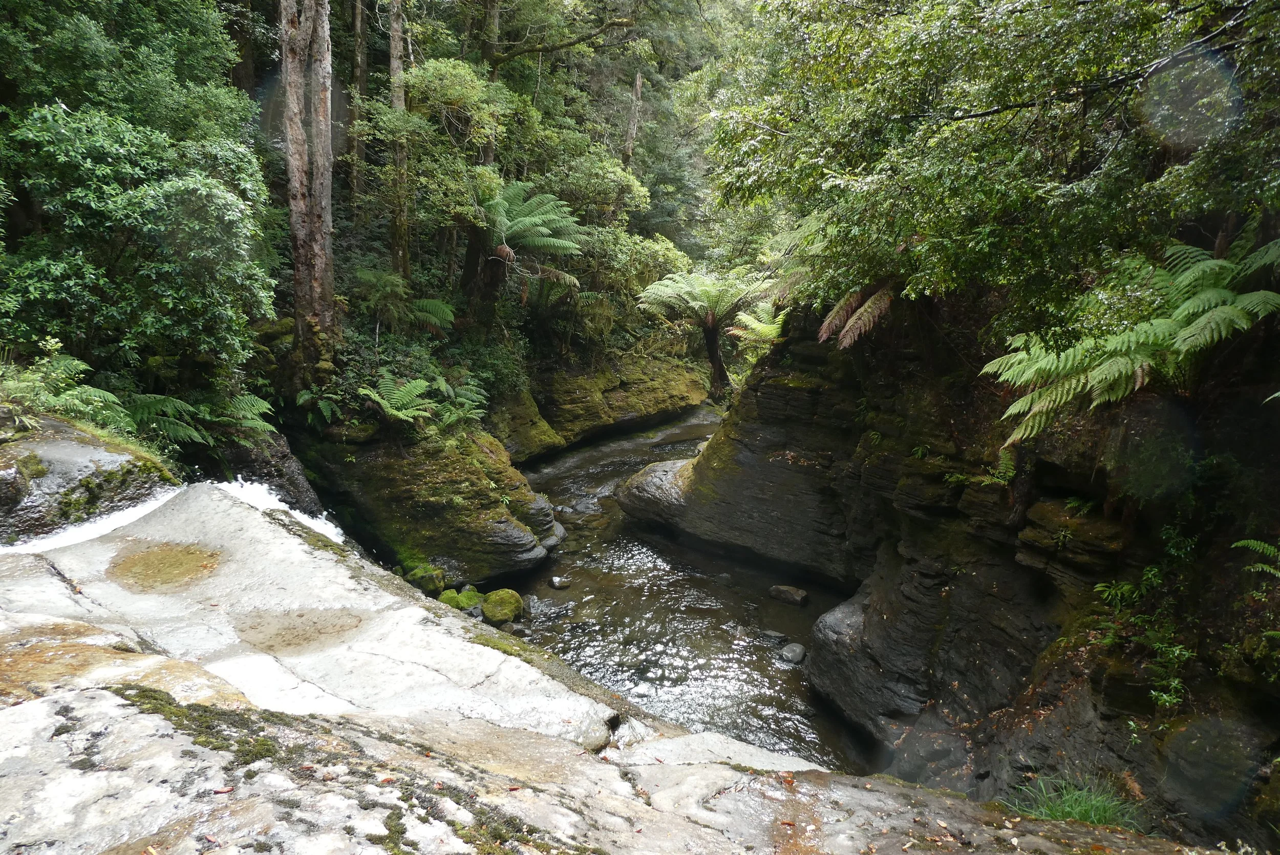 The Spout, Liffey Falls