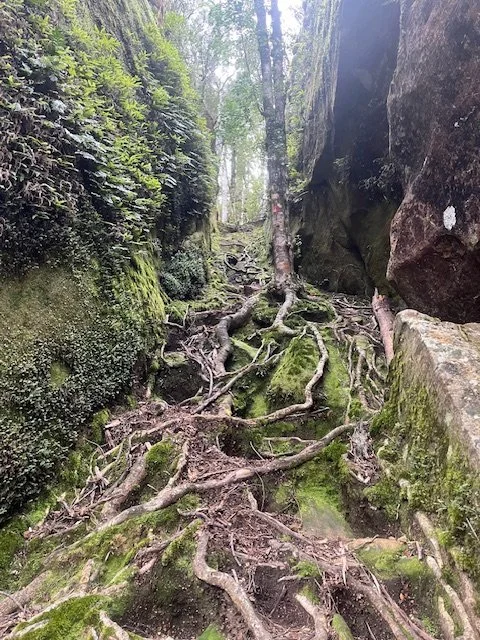 Split Rock