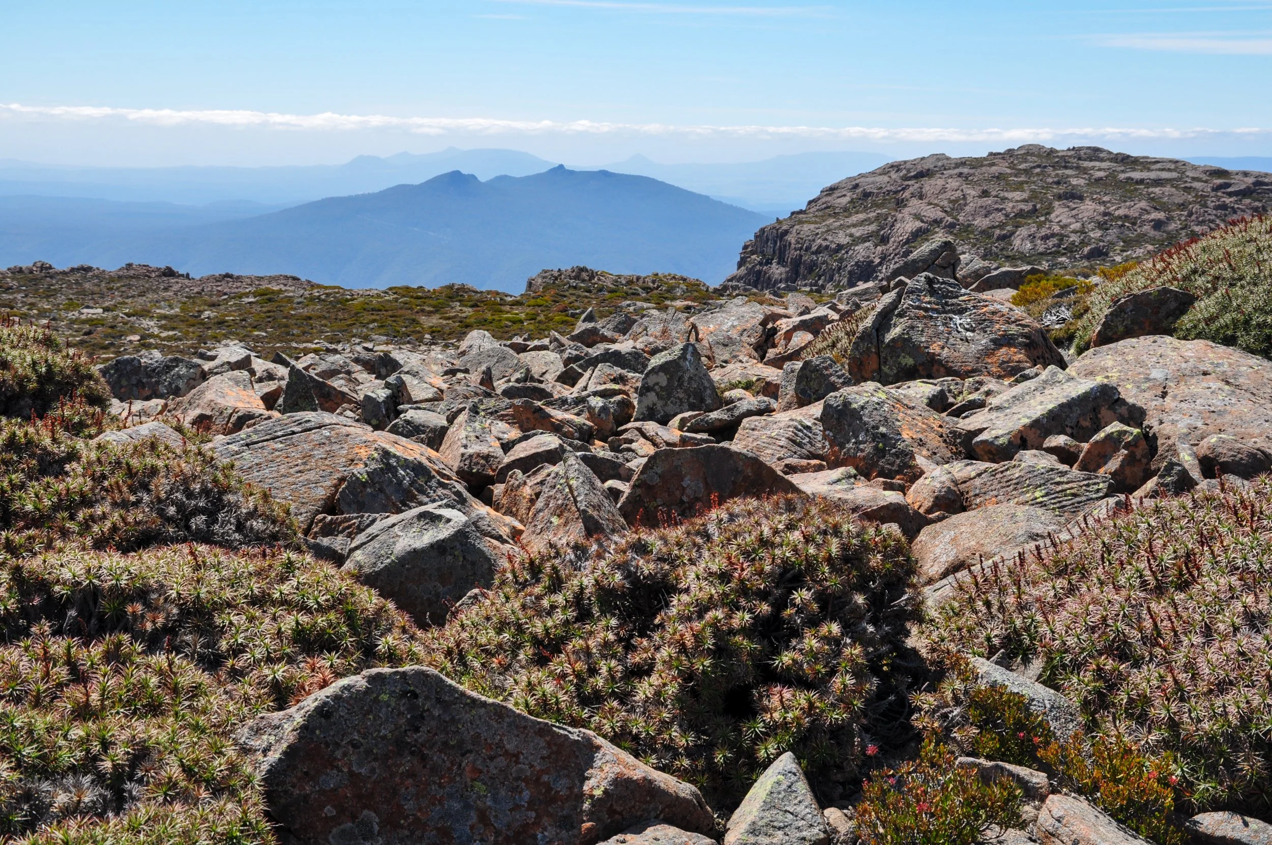 Ben Lomond National Park
